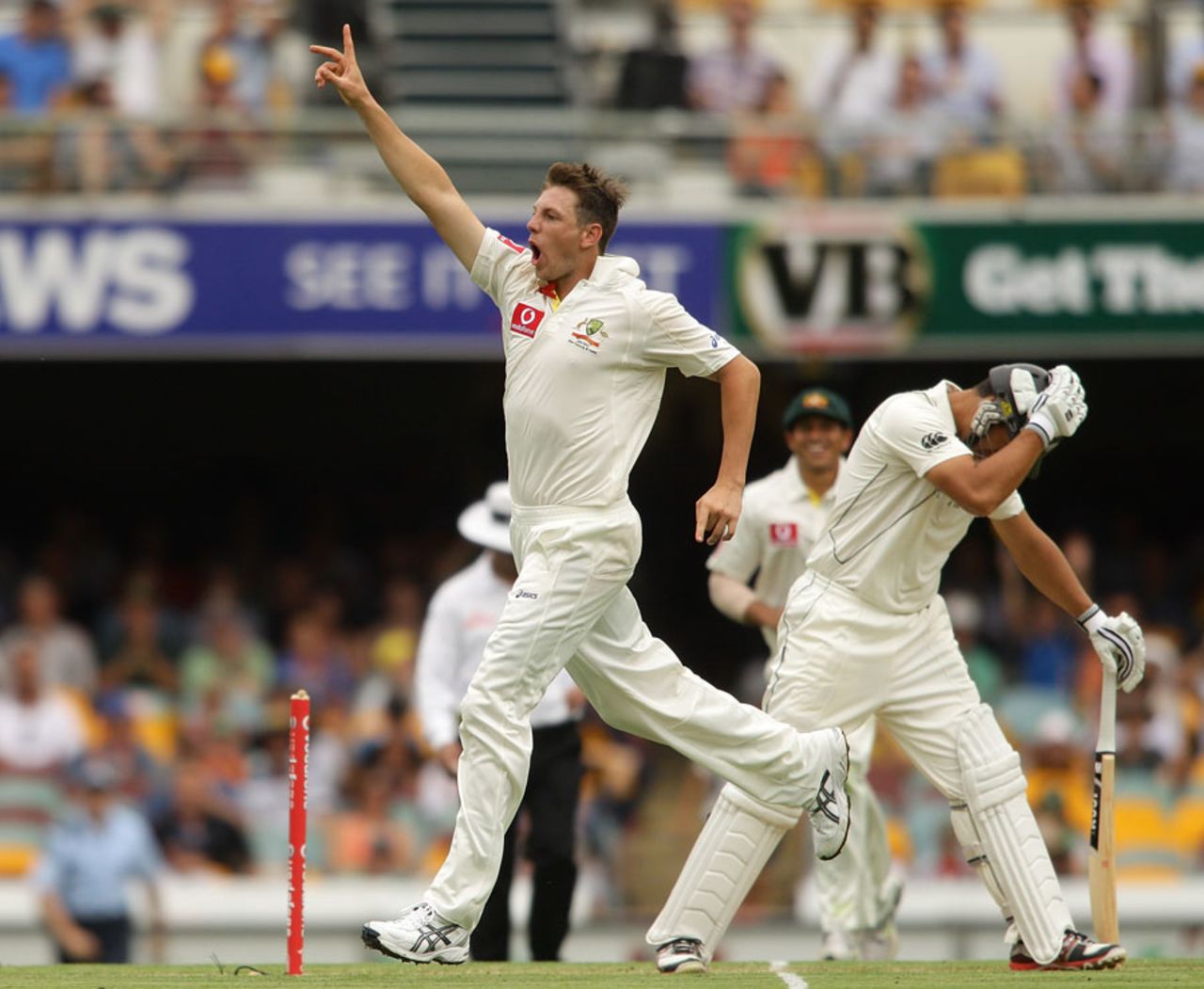James Pattinson roars after getting his first Test wicket - Ross Taylor, Australia v New Zealand, 1st Test, Brisbane, 1st day, December 1, 2011