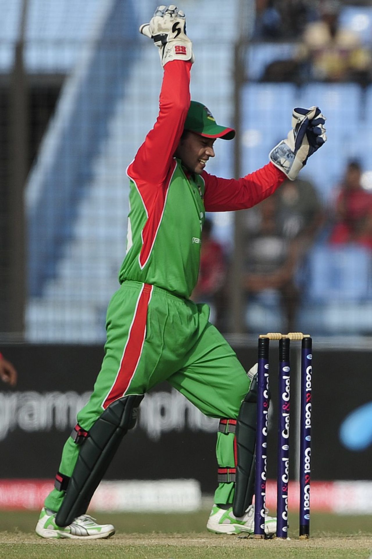 Mushfiqur Rahim celebrates Younis Khan's wicket, Bangladesh v Pakistan, 3rd ODI, Chittagong, December 6, 2011 