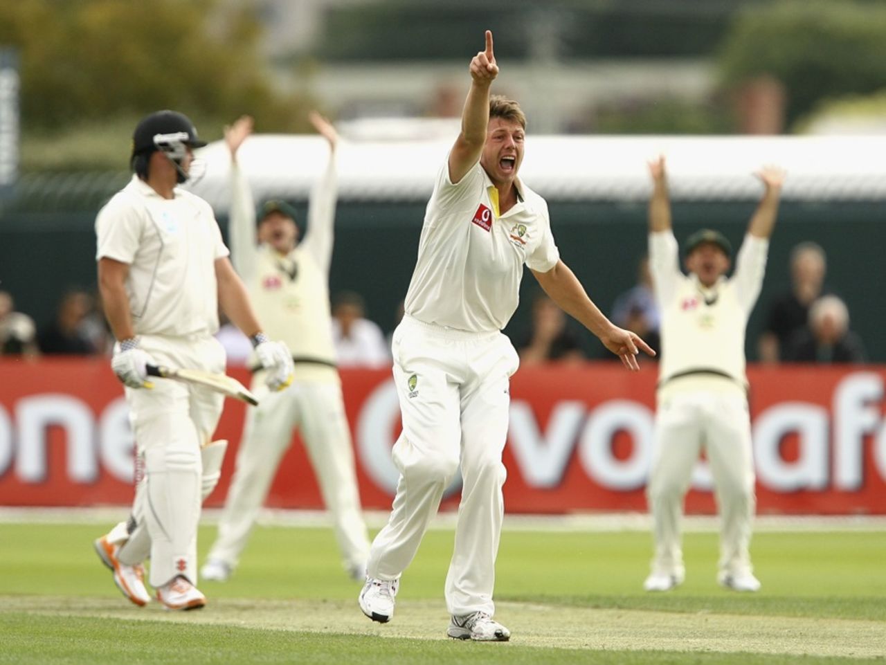 James Pattinson appeals for the wicket of Jesse Ryder, Australia v New Zealand, second Test, Hobart, day one, December 9 2011