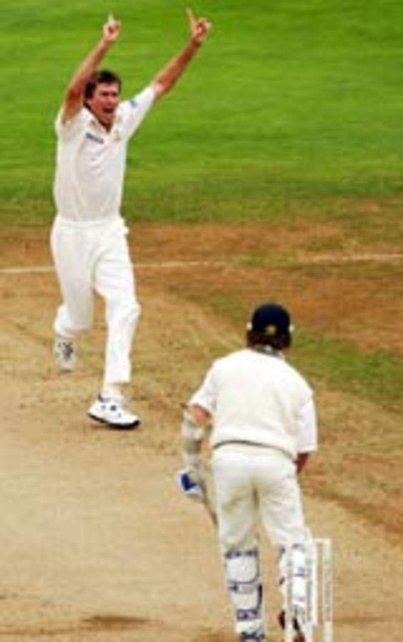 Glenn McGrath celebrates Hamish Marshall's dismissal, New Zealand v Australia, 2nd Test, Wellington, 5th day, March 22, 2005