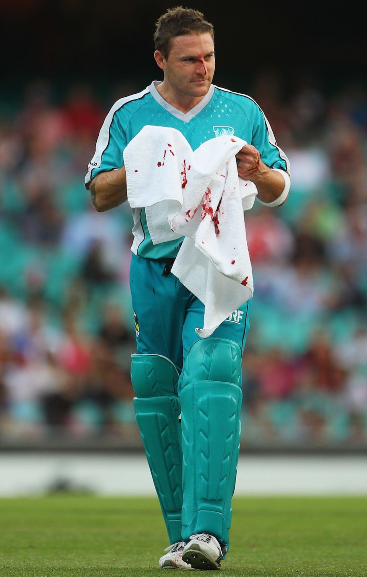 Brendon McCullum had to retire hurt for treatment after getting hit on the nose by a short ball from Brett Lee, Sydney Sixers v Brisbane Heat, Big Bash League, SCG, December 16, 2011
