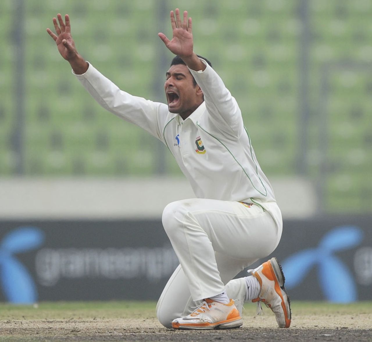 Mahmudullah makes a loud appeal for lbw, Bangladesh v Pakistan, 2nd Test, Mirpur, 3rd day, December 19, 2011 
