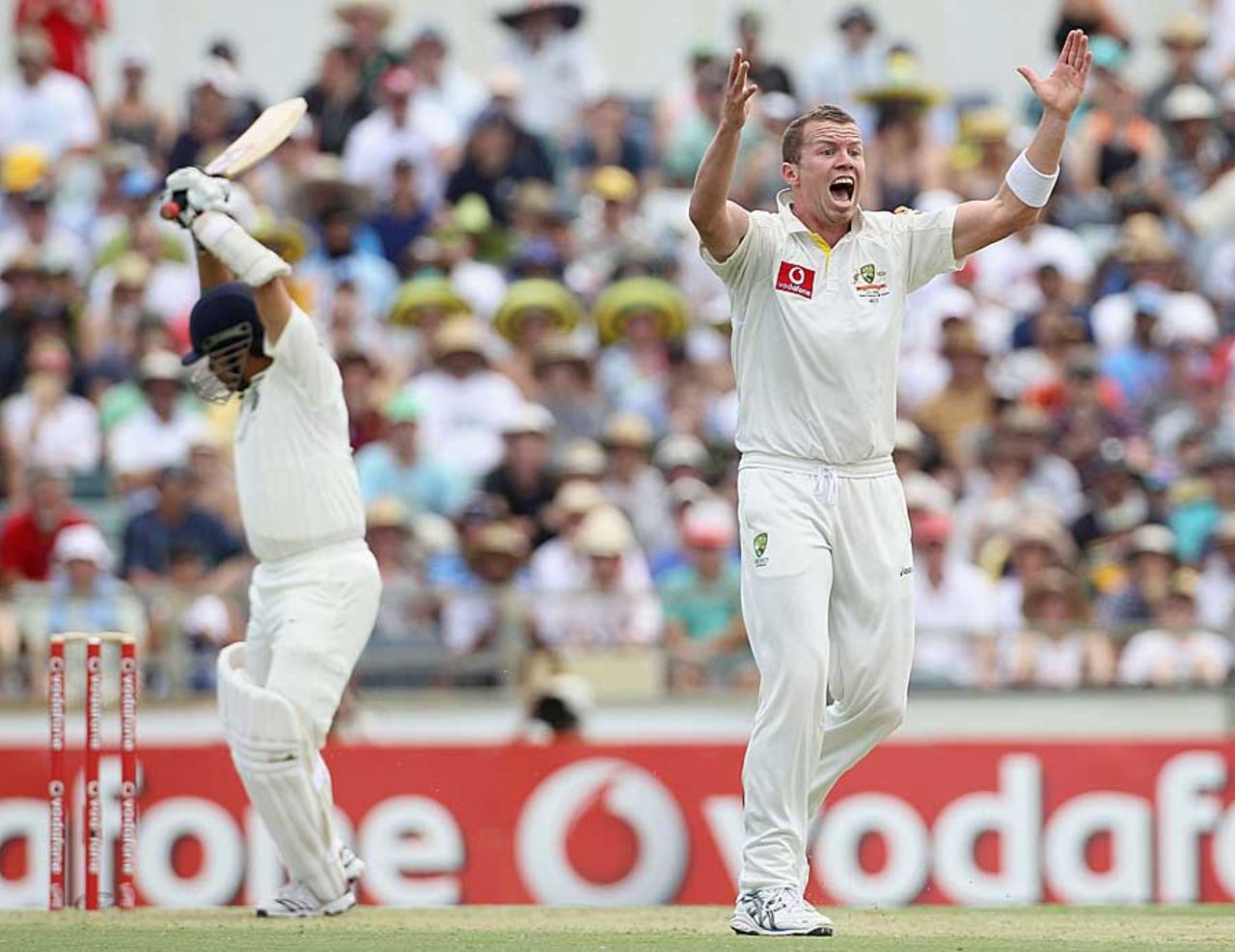 Peter Siddle appeals unsuccessfully for an lbw against Sachin Tendulkar, Australia v India, 3rd Test, Perth, 1st day, January 13, 2012