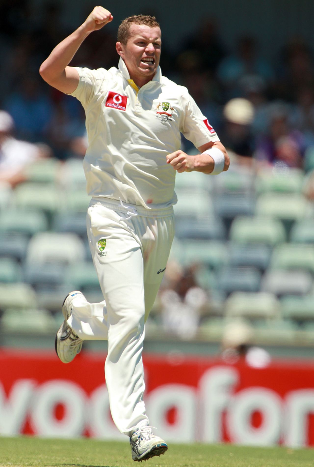 Peter Siddle celebrates the dismissal of MS Dhoni, Australia v India, 3rd Test, Perth, 3rd day, January 15, 2012