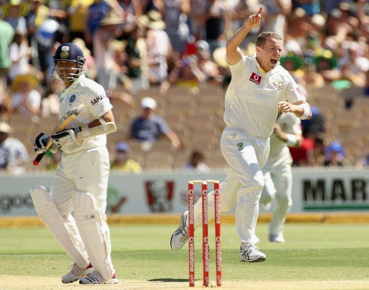 Peter Siddle celebrates the fall of Sachin Tendulkar, Australia v India, 4th Test, Adelaide, 3rd day, January 26, 2012