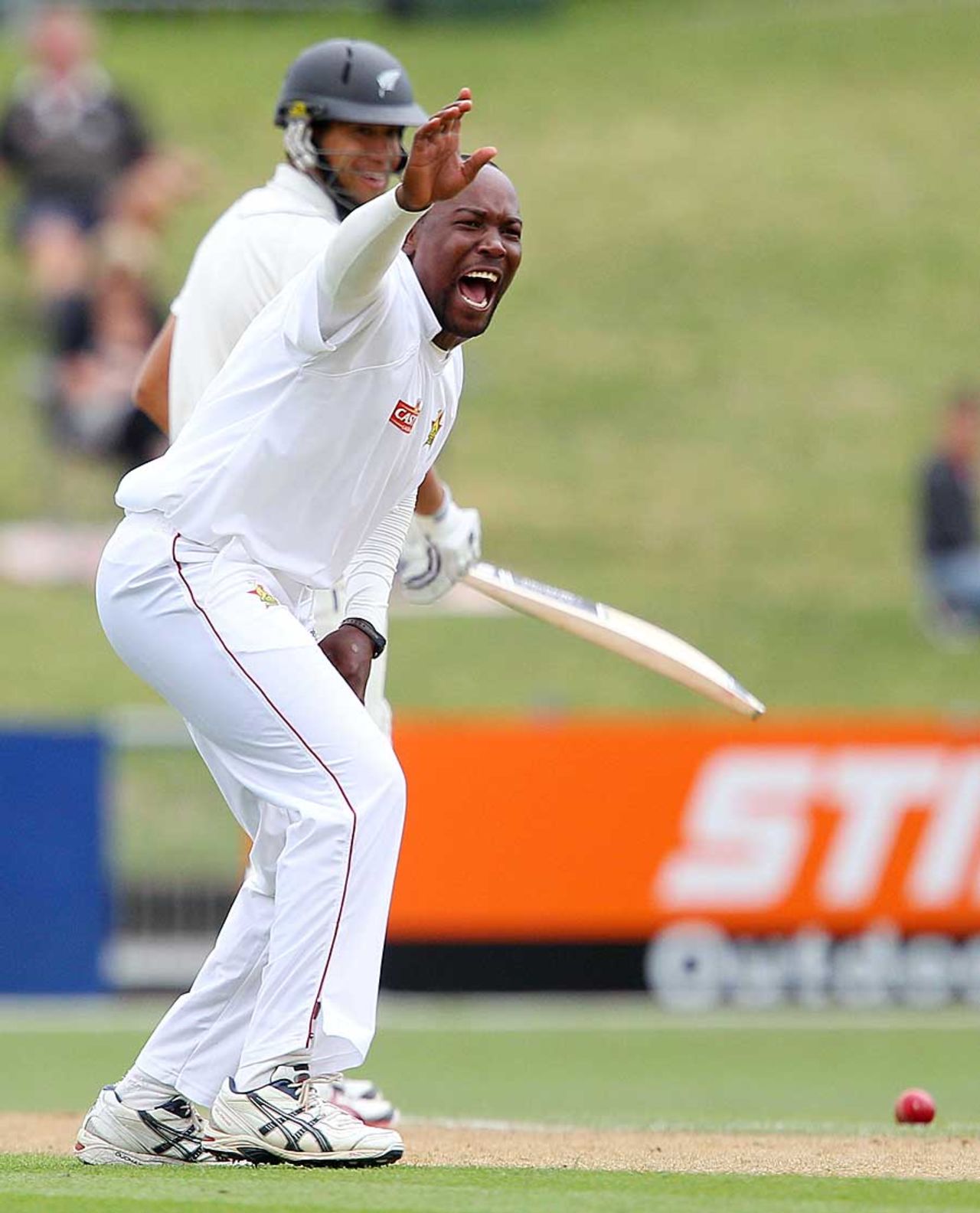 Hamilton Masakadza appeals in vain, New Zealand v Zimbabwe, Only Test, Napier, 2nd day, January 27, 2012