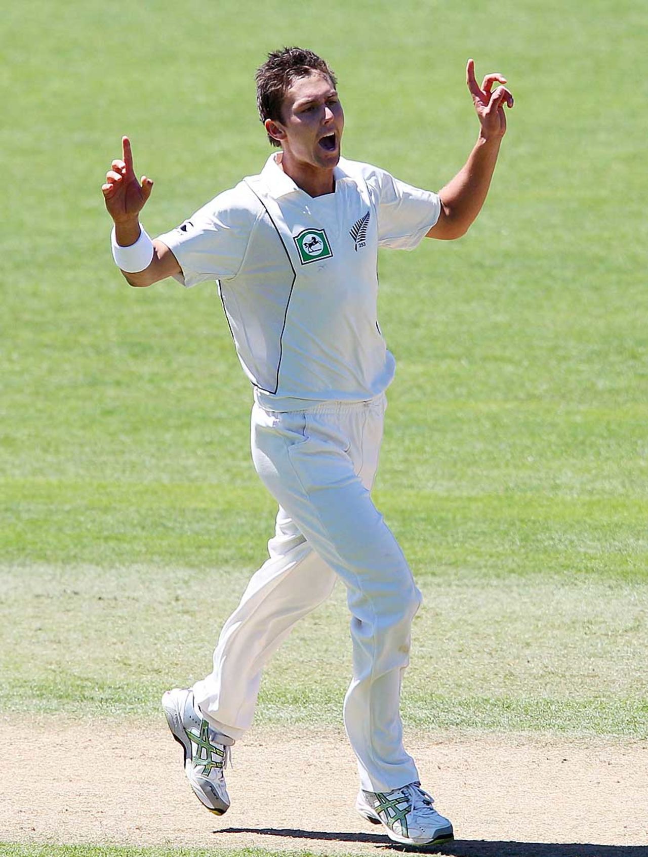 Trent Boult was among the wickets in Napier, New Zealand v Zimbabwe, Only Test, Napier, 3rd day, January 28, 2012