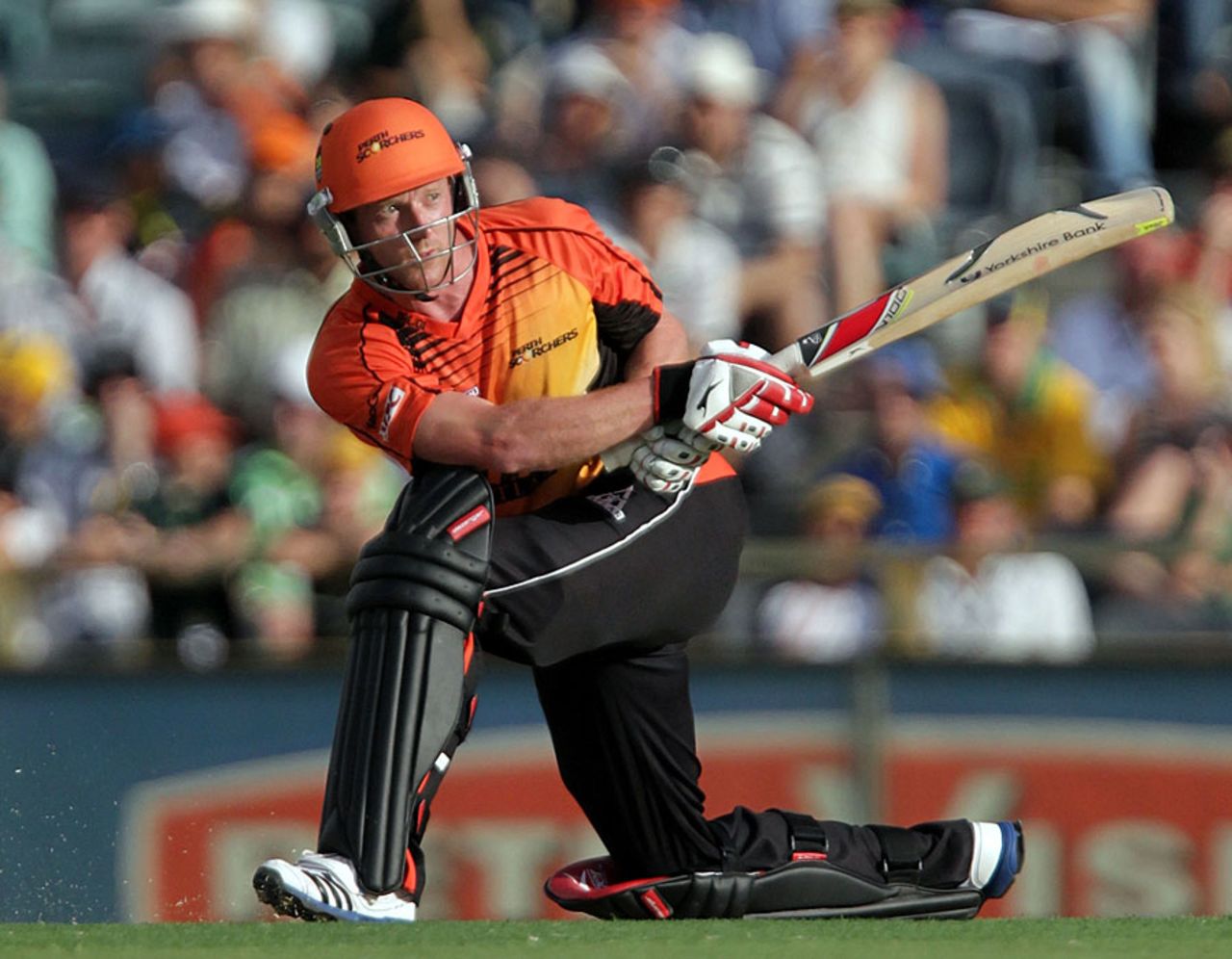 Paul Collingwood sweeps during his 32, Perth Scorchers v Sydney Sixers, BBL 2011-12 final, Perth, January 28, 2012 