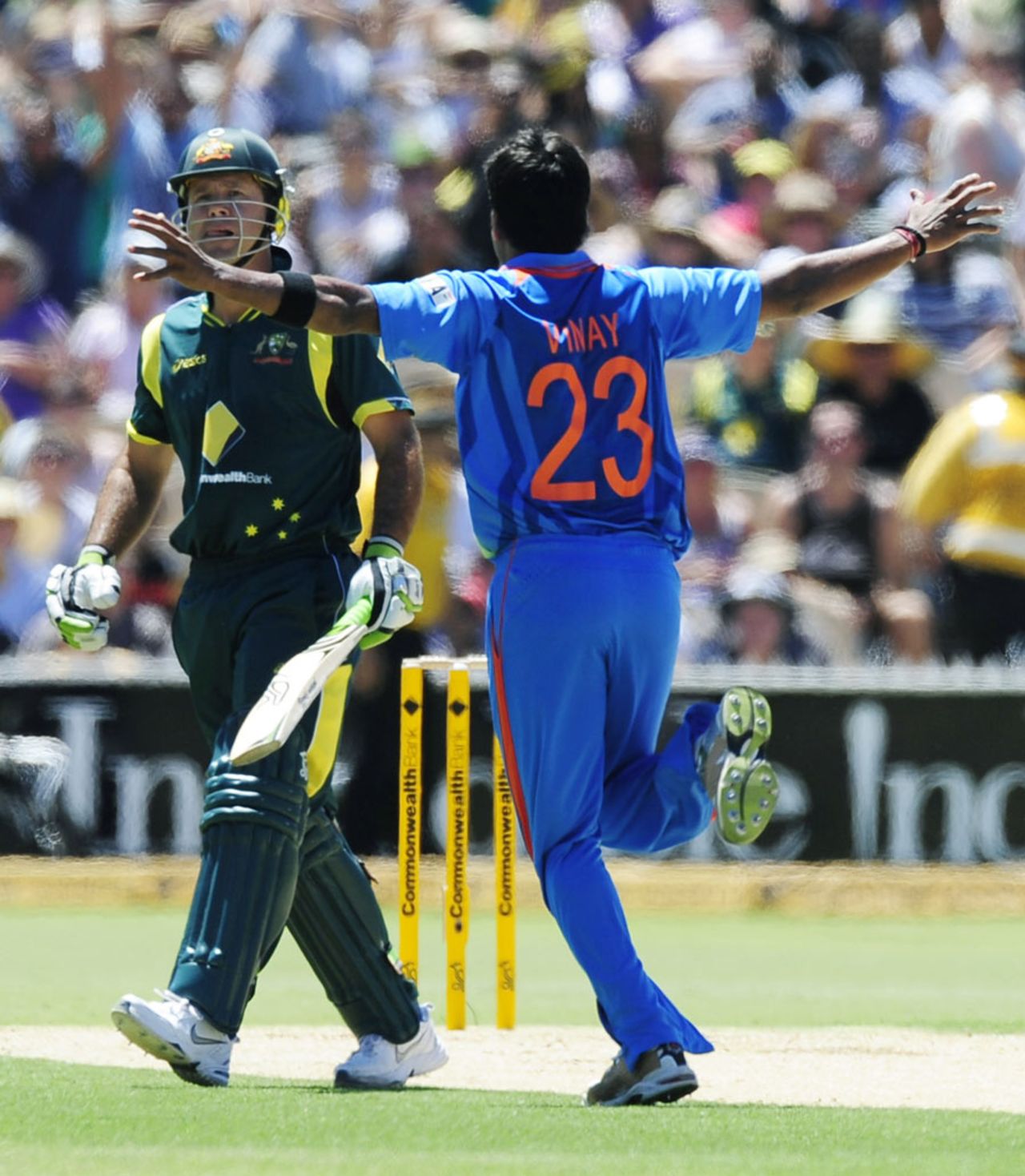 Vinay Kumar celebrates his dismissal of Ricky Ponting, Australia v India, Commonwealth Bank Series, Adelaide, February 12, 2012