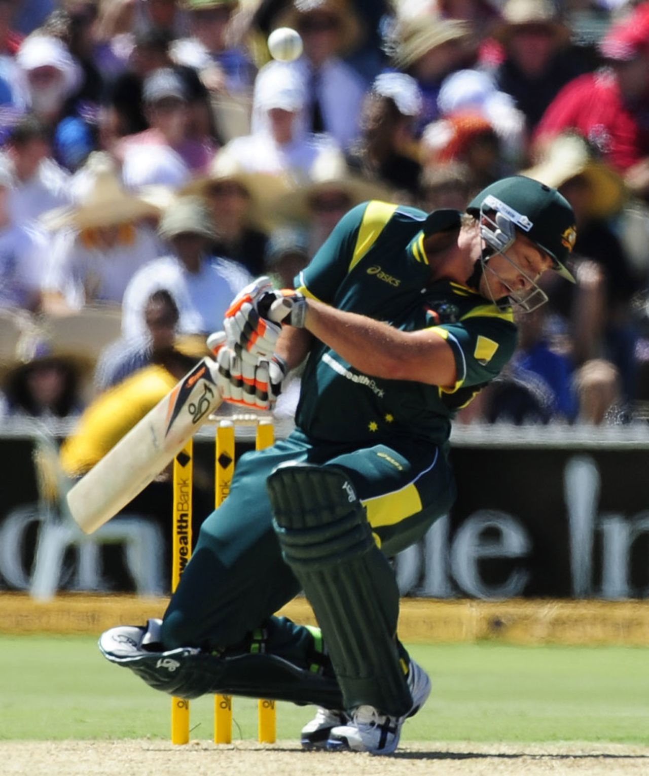 Peter Forrest evades a bouncer, Australia v India, Commonwealth Bank Series, Adelaide, February 12, 2012