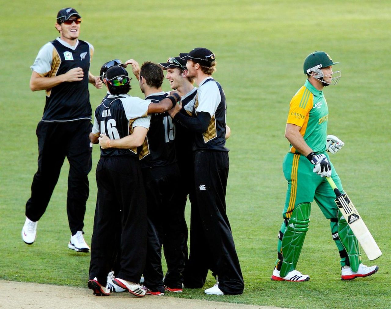 New Zealand celebrate Colin Ingram's wicket, New Zealand v South Africa, 1st Twenty20 international, Wellington, February 17, 2012