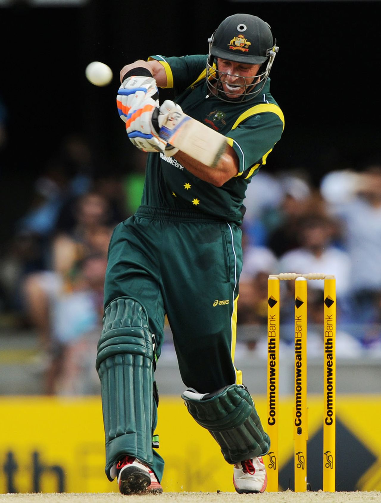 Michael Hussey plays the pull shot, Australia v India, CB Series, Brisbane, February 19, 2012