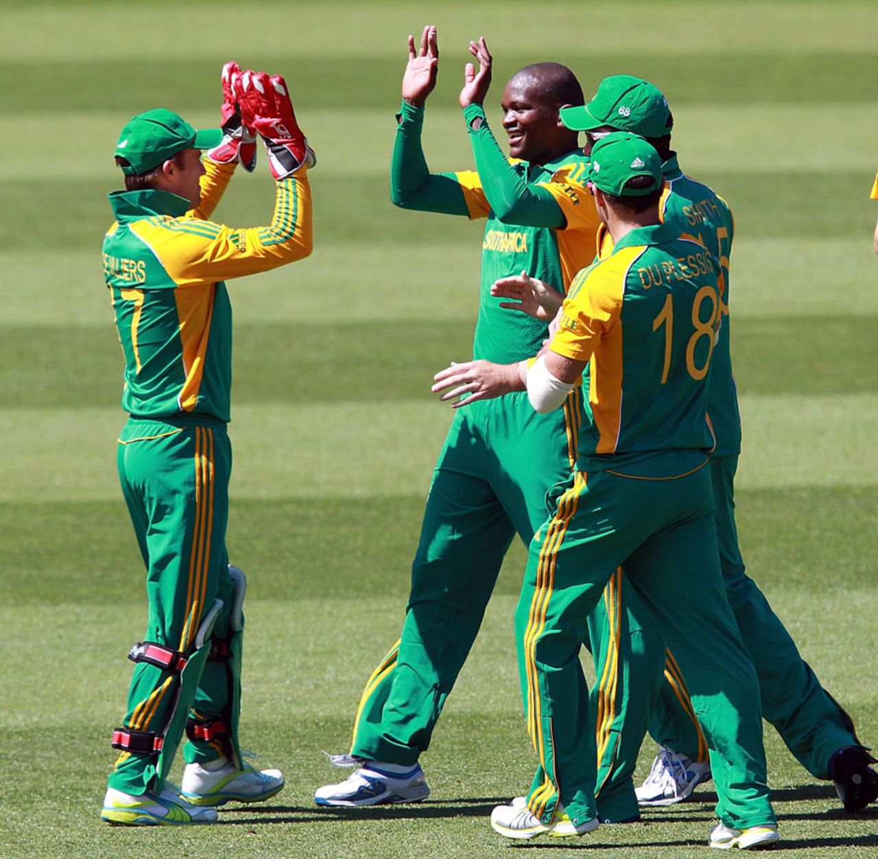 Lonwabo Tsotsobe made an early breakthrough, New Zealand v South Africa, 1st ODI , Wellington, February 25, 2012