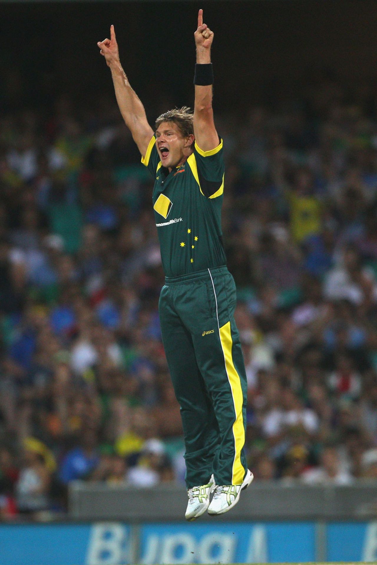 Shane Watson leaps after dismissing Virat Kohli, Australia v India, CB Series, Sydney, February 26, 2012