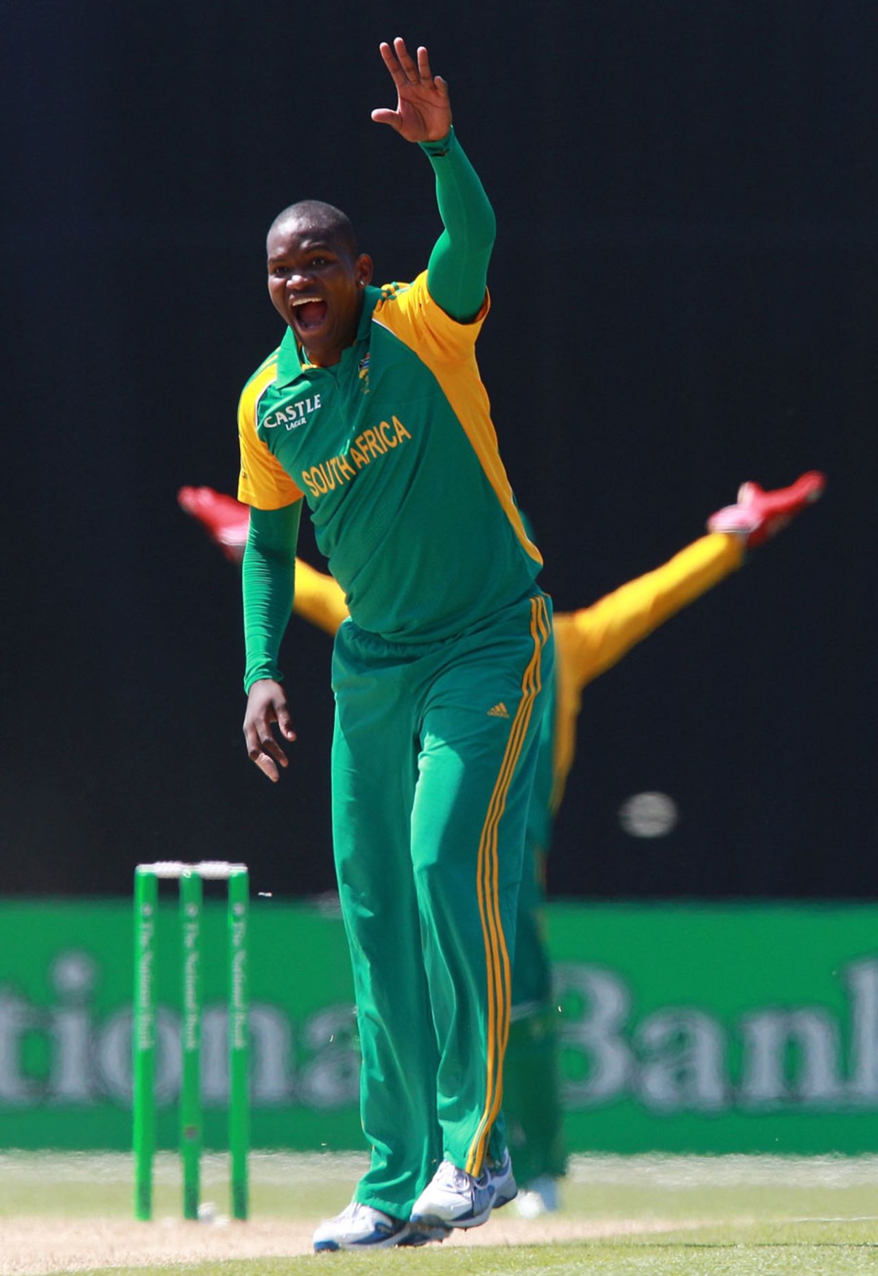 Lonwabo Tsotsobe appeals successfully for the wicket of Rob Nicol, New Zealand v South Africa, 2nd ODI, Napier, February 29, 2012 
