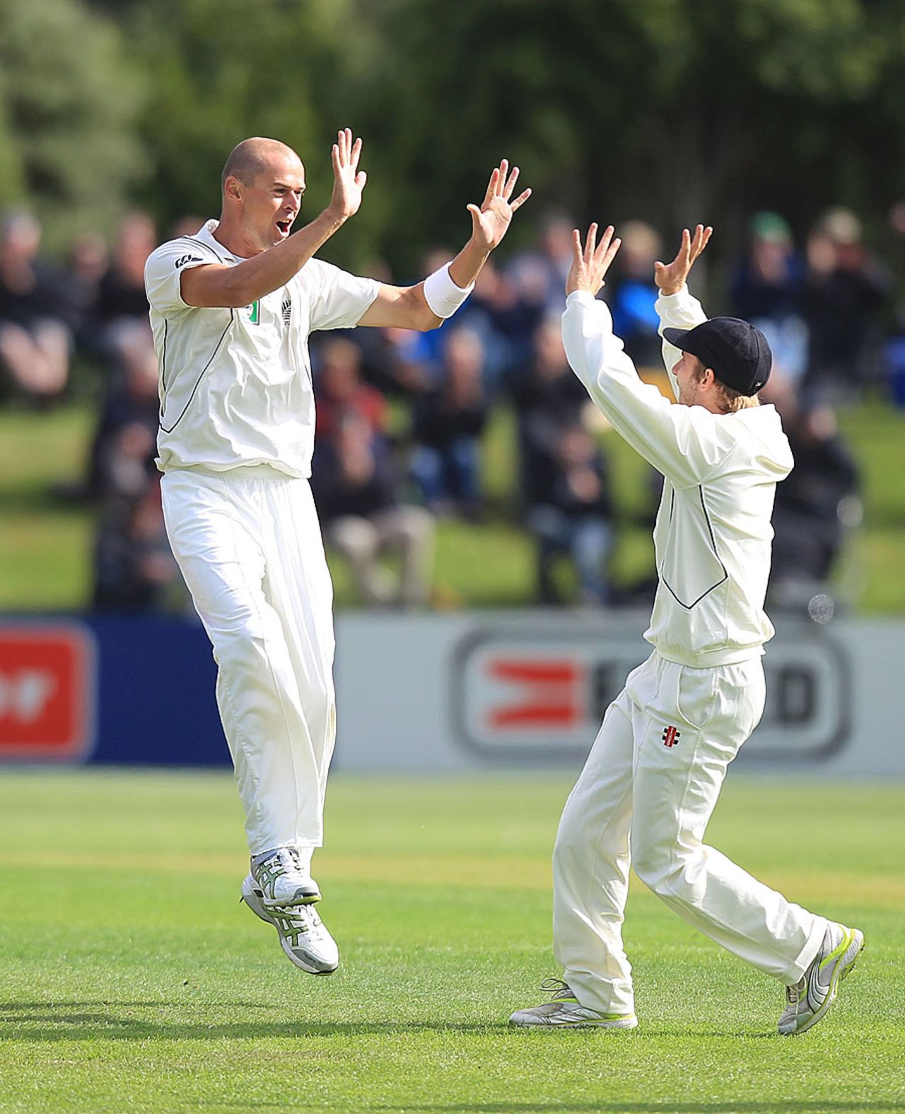 Chris Martin celebrates dismissing Jacques Kallis, New Zealand v South Africa, 1st Test, Dunedin, 1st day, March 7, 2012