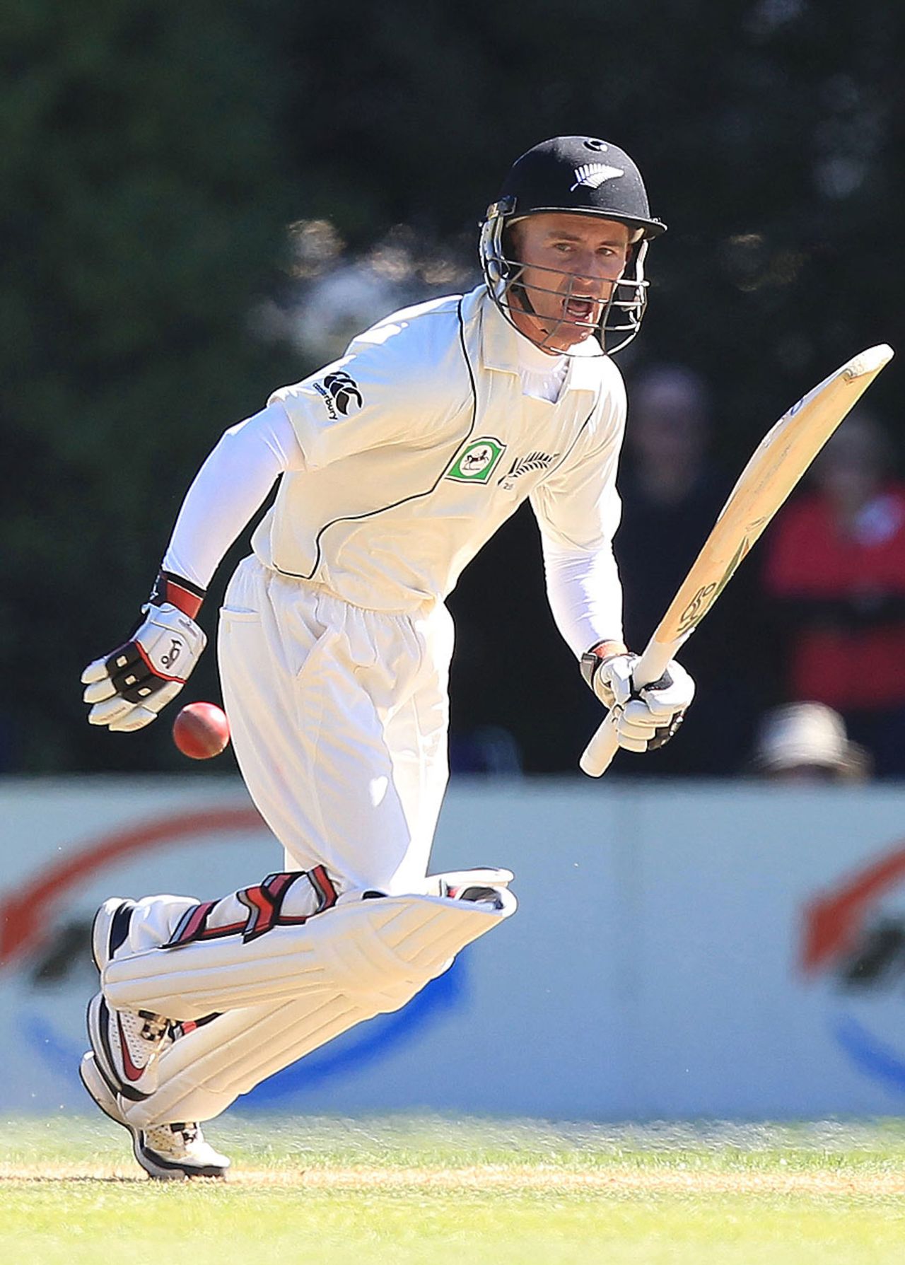 Kruger van Wyk bats on Test debut, New Zealand v South Africa, 1st Test, Dunedin, 2nd day, March 8, 2012