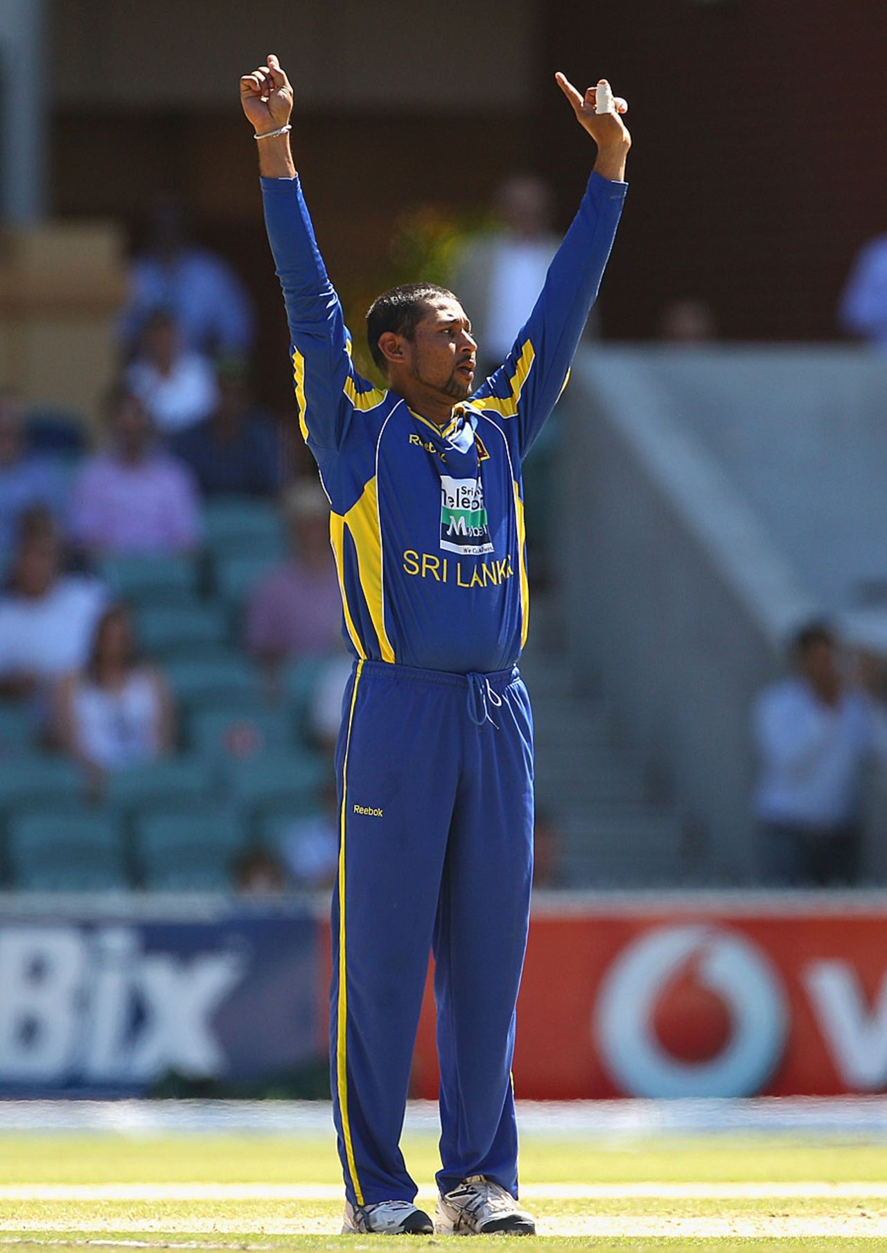 Tillakaratne Dilshan got the big wicket of Shane Watson, Australia v Sri Lanka, CB Series, 3rd final, Adelaide, March 8, 2012