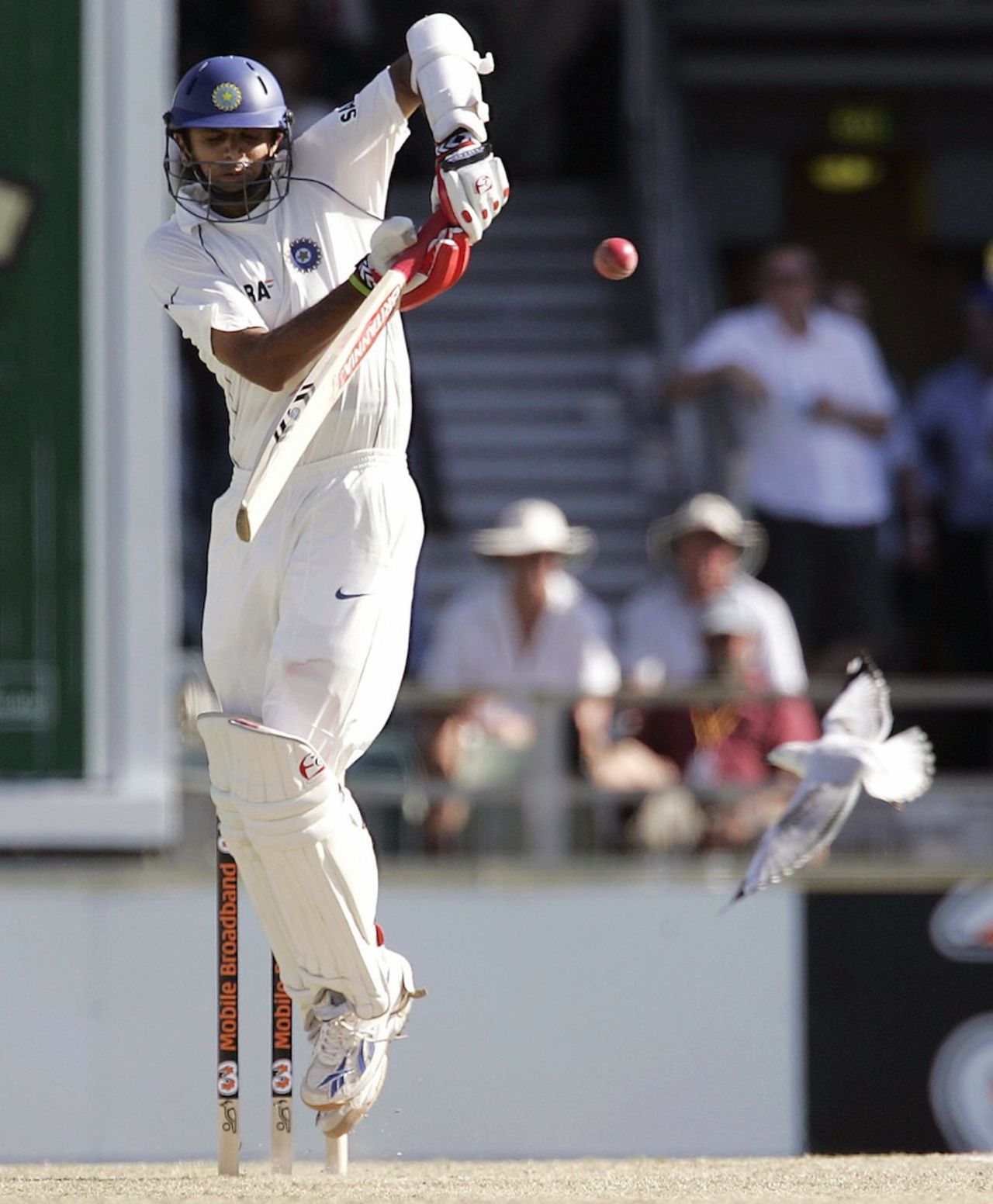 Rahul Dravid fends the ball down, Australia v India, 3rd Test, Perth, 1st day, January 16, 2008