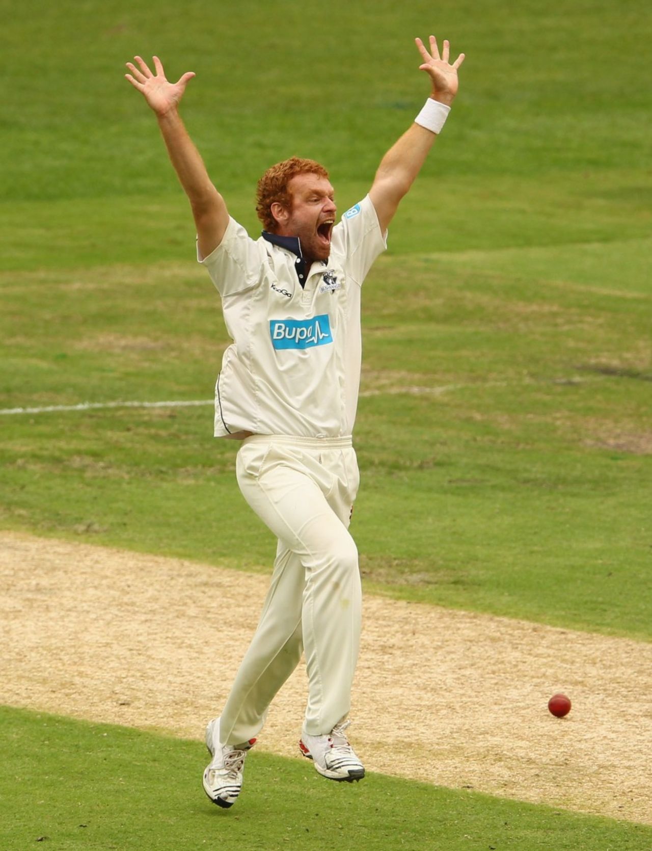Andrew McDonald appeals, Victoria v New South Wales, Sheffield Shield, Melbourne, 1st day, March 8, 2012