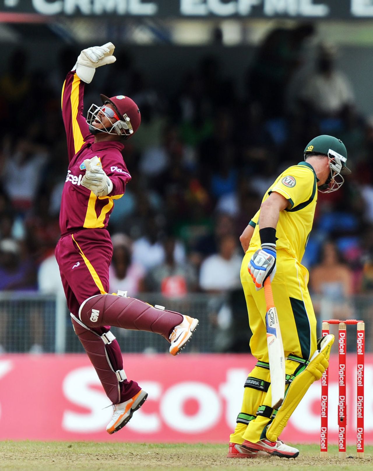 Carlton Baugh leaps in celebration after taking a sharp edge off Michael Hussey, West Indies v Australia, 2nd ODI, St Vincent, March 18, 2012