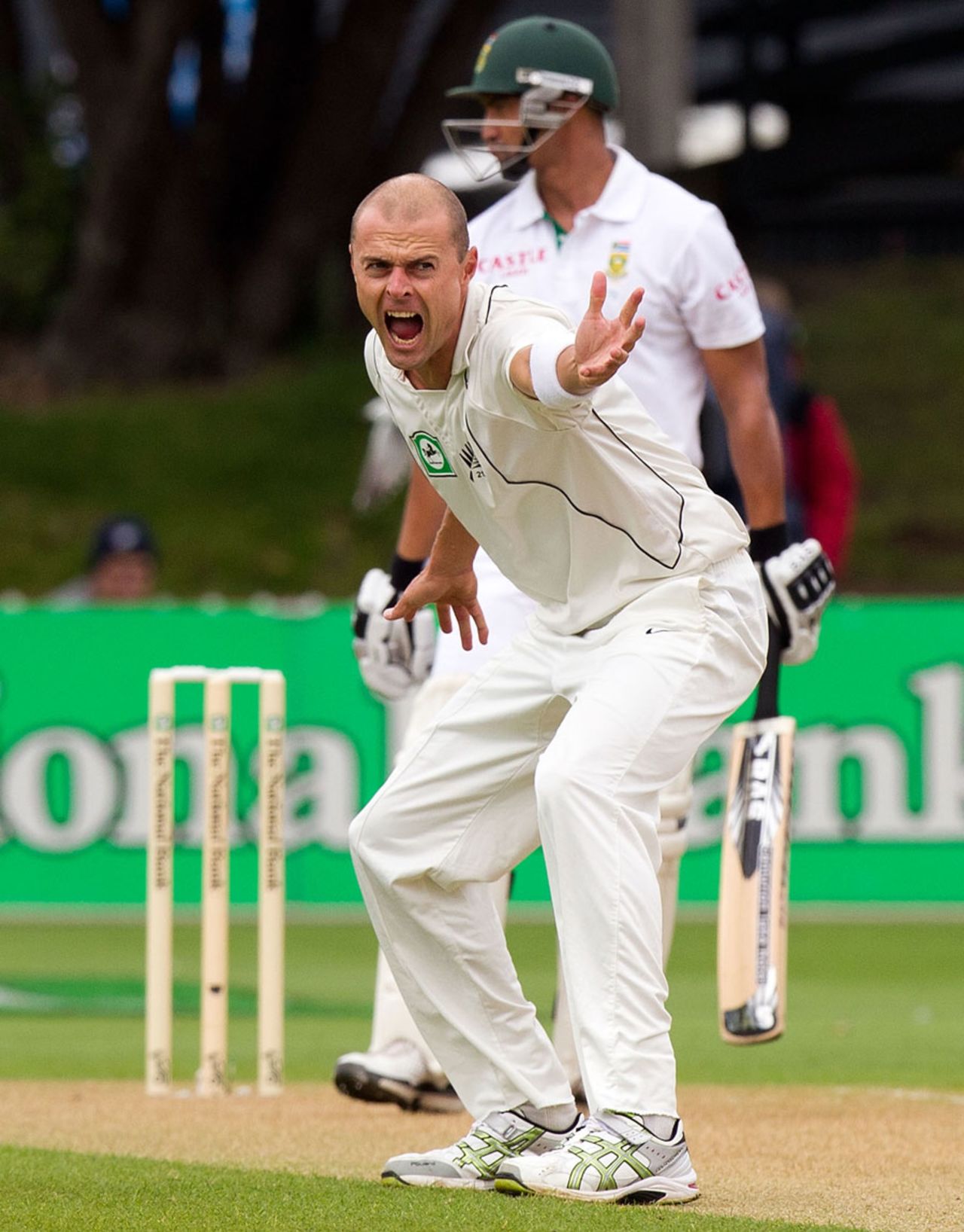 Chris Martin appeals unsuccessfully for an lbw, New Zealand v South Africa, 3rd Test, Wellington, 2nd day, March 24, 2012