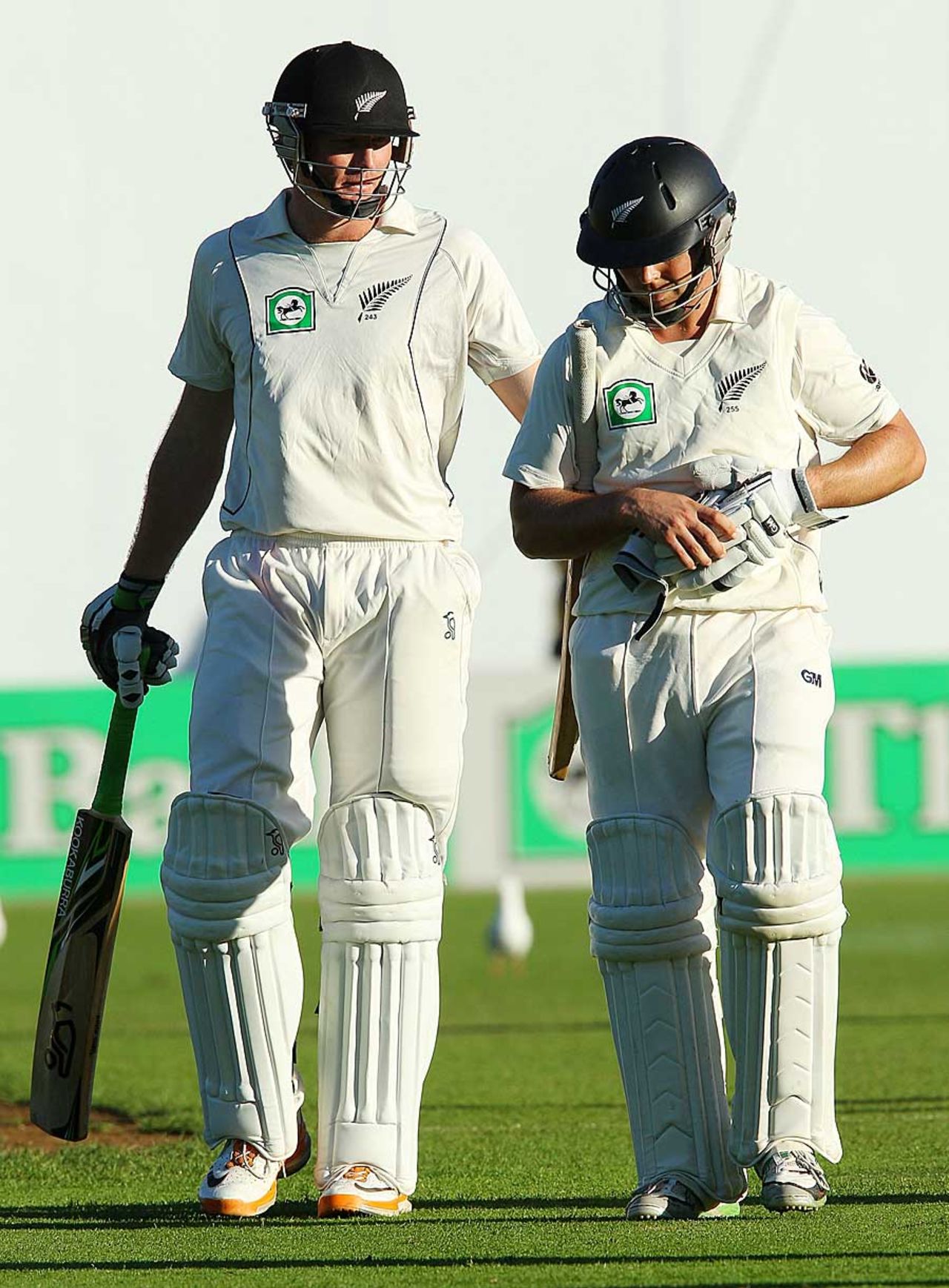 Martin Guptill and Daniel Flynn were involved in a solid opening stand, New Zealand v South Africa, 3rd Test, Wellington, 3rd day, March 25, 2012