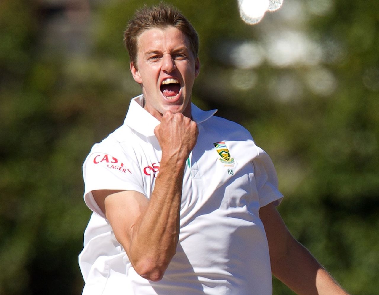 Morne Morkel wrecked New Zealand's top order, New Zealand v South Africa, 3rd Test, Wellington, 5th day, March 27, 2012
