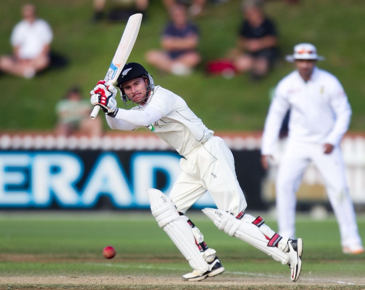 Kruger van Wyk made 39 off 80 balls, New Zealand v South Africa, 3rd Test, Wellington, 5th day, March 27, 2012