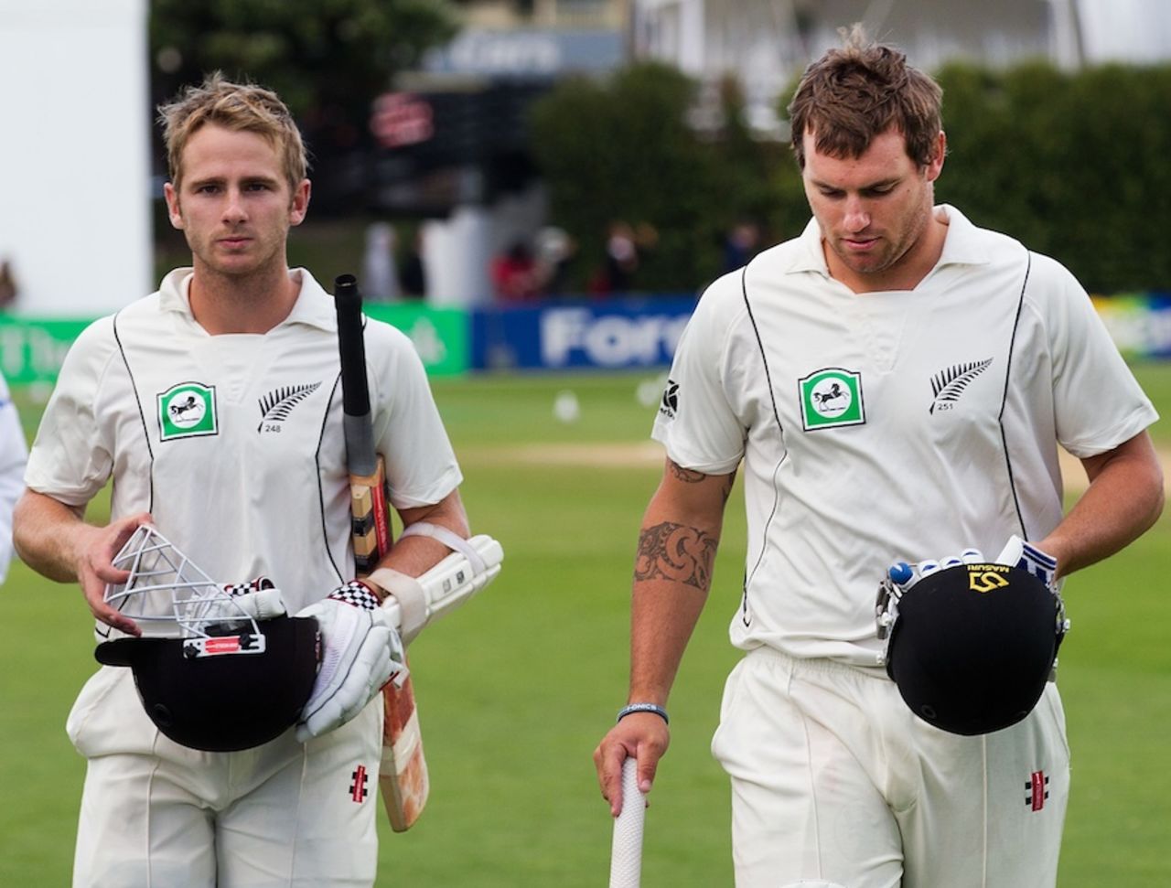 Kane Williamson and Doug Bracewell secured the draw, New Zealand v South Africa, 3rd Test, Wellington, 5th day, March 27, 2012