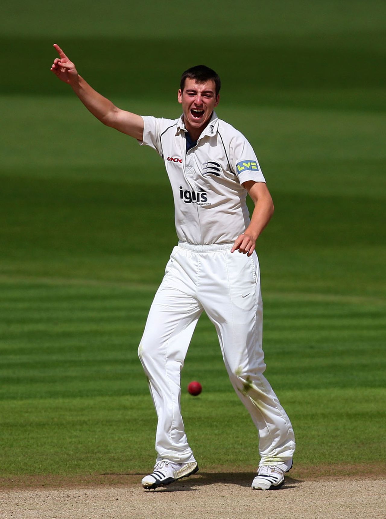 Toby Roland-Jones appeals, Glamorgan v Middlesex, County Championship, Division Two, Cardiff, August 18, 2010