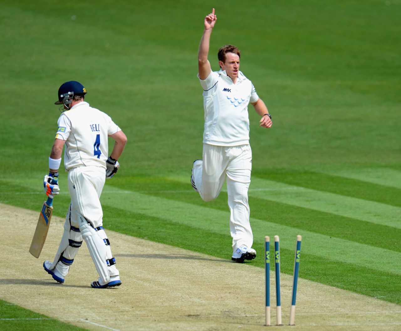 James Anyon celebrates after bowling Ian Bell, Sussex v Warwickshire, County Championship, Division One, Hove, April 26, 2012