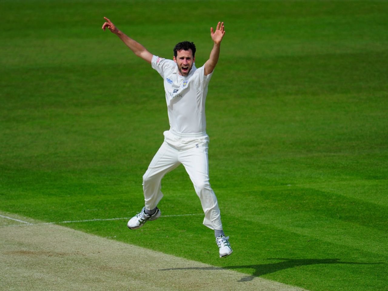 Graham Onions celebrates taking a wicket, Durham v Somerset, County Championship, Division One, 1st day, Chester-le-Street, May 9, 2012