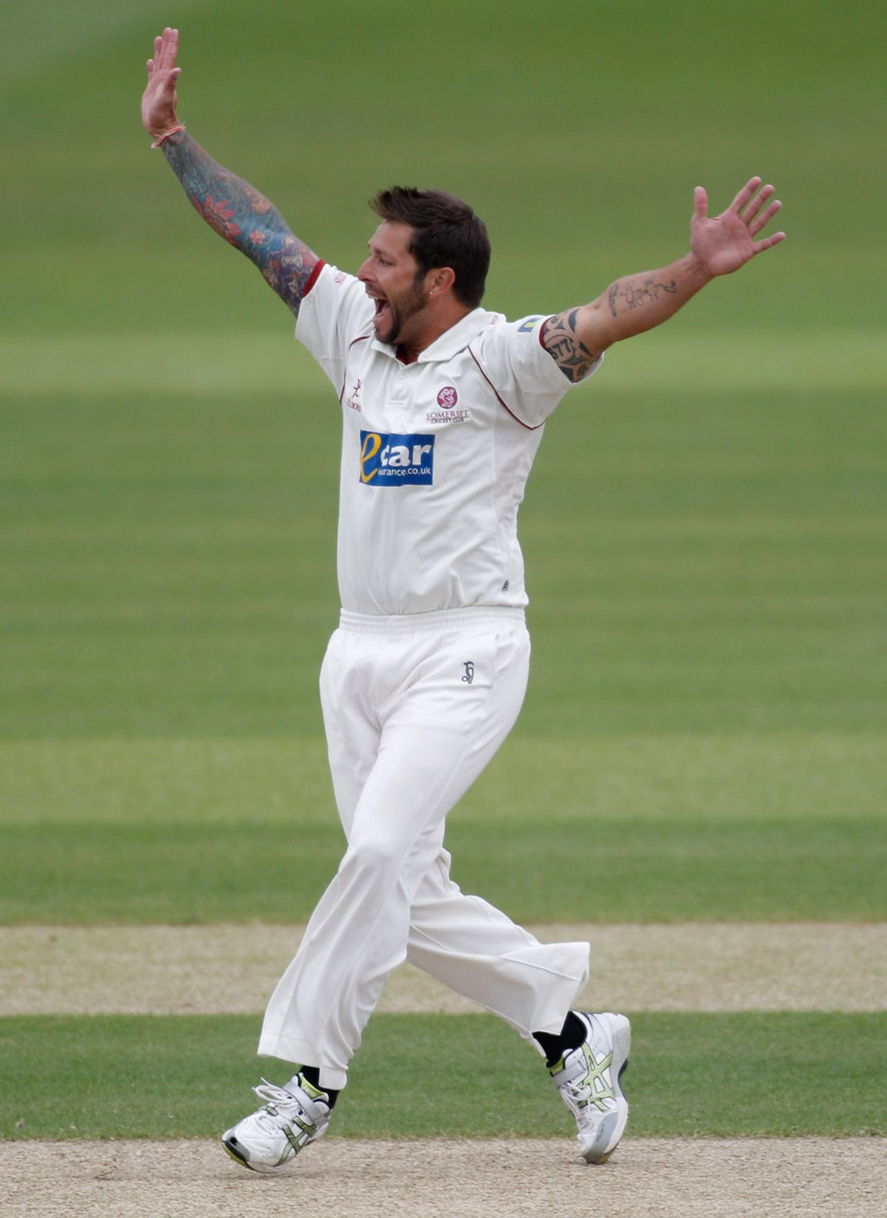 Peter Trego took five wickets in Worcestershire's first innings, Worcestershire v Somerset, County Championship, Division One, New Road, 2nd day, May 31, 2012