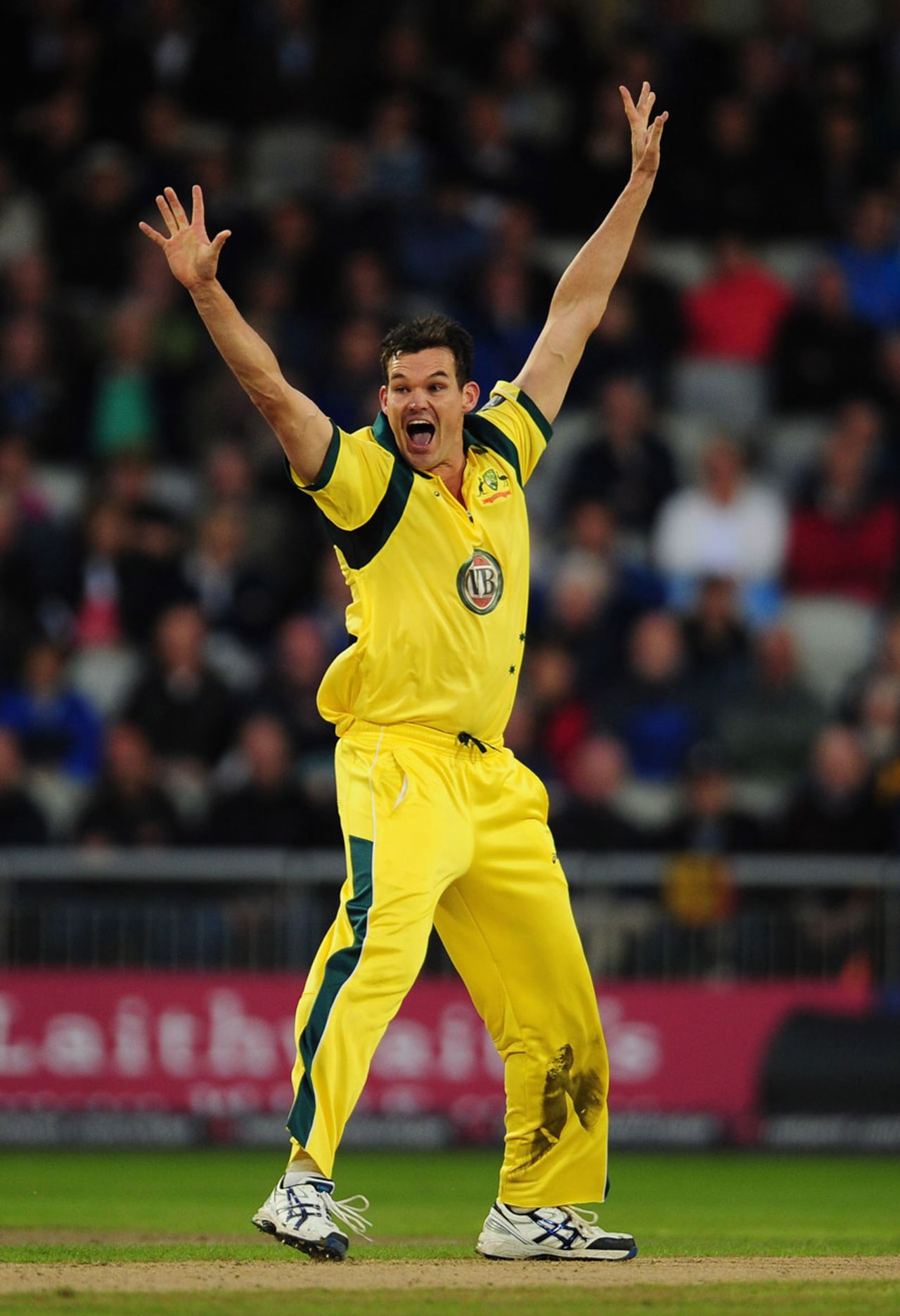 Clint McKay appeals for a wicket, England v Australia, 5th ODI, Old Trafford, July 10, 2012