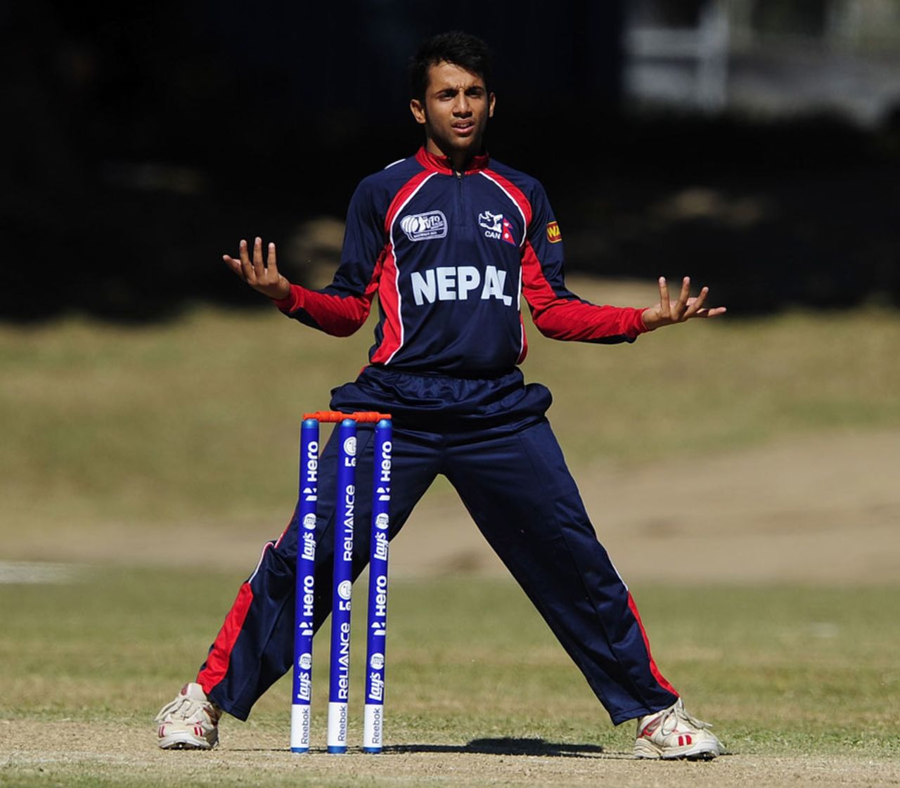 Nepal captain Prithu Baskota dismissed the Ireland openers, Ireland v Nepal, Group A, ICC Under-19 World Cup 2012, Townsville, August 15, 2012