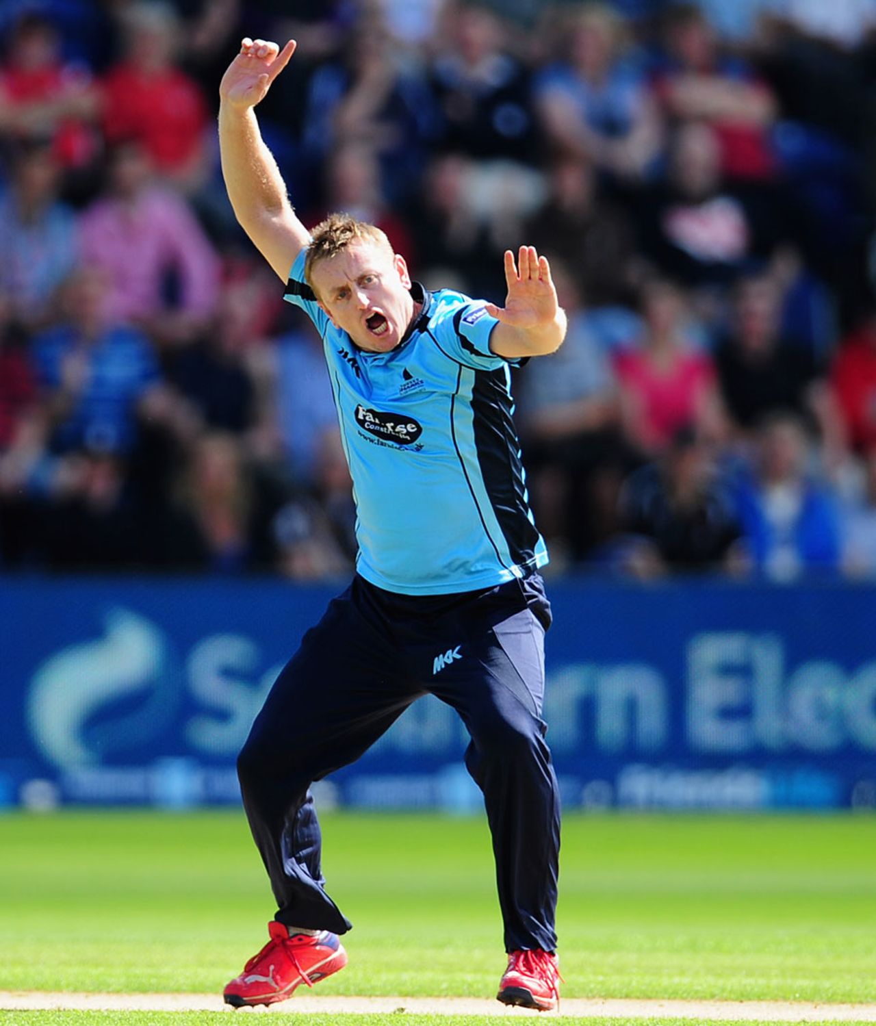 Scott Styris took three early wickets for Sussex, Sussex v Yorkshire, Friends Life t20 1st semi-final, Cardiff, August 25, 2012