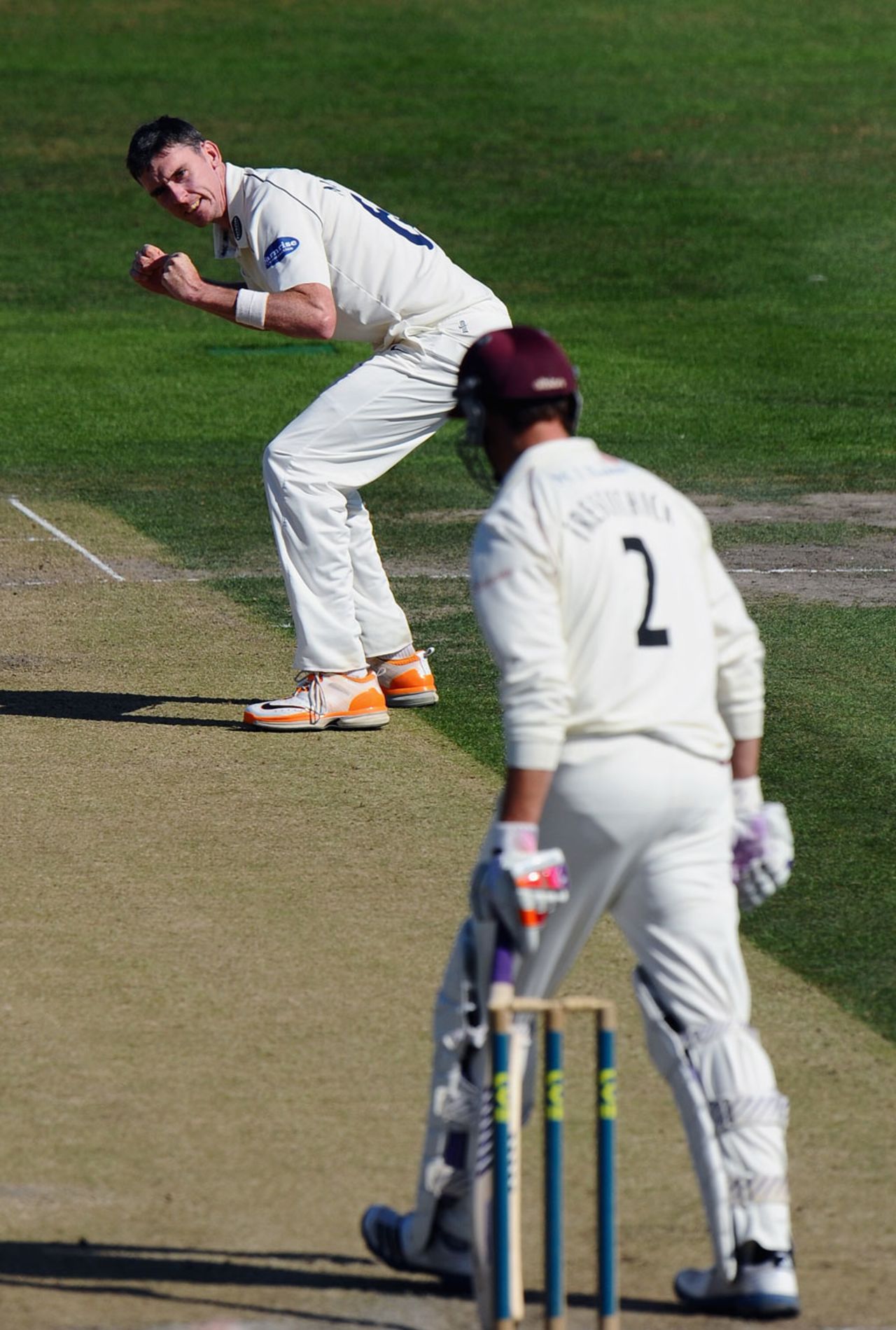 Steve Magoffin celebrates removing Marcus Trescothick, Sussex v Somerset, County Championship, Division One, Hove, 2nd day, September, 5, 2012