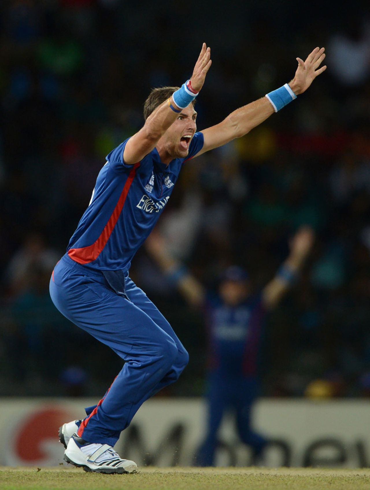 Steven Finn appeals unsuccessfully for an lbw decision, England v India, World Twenty20, Group A, Colombo