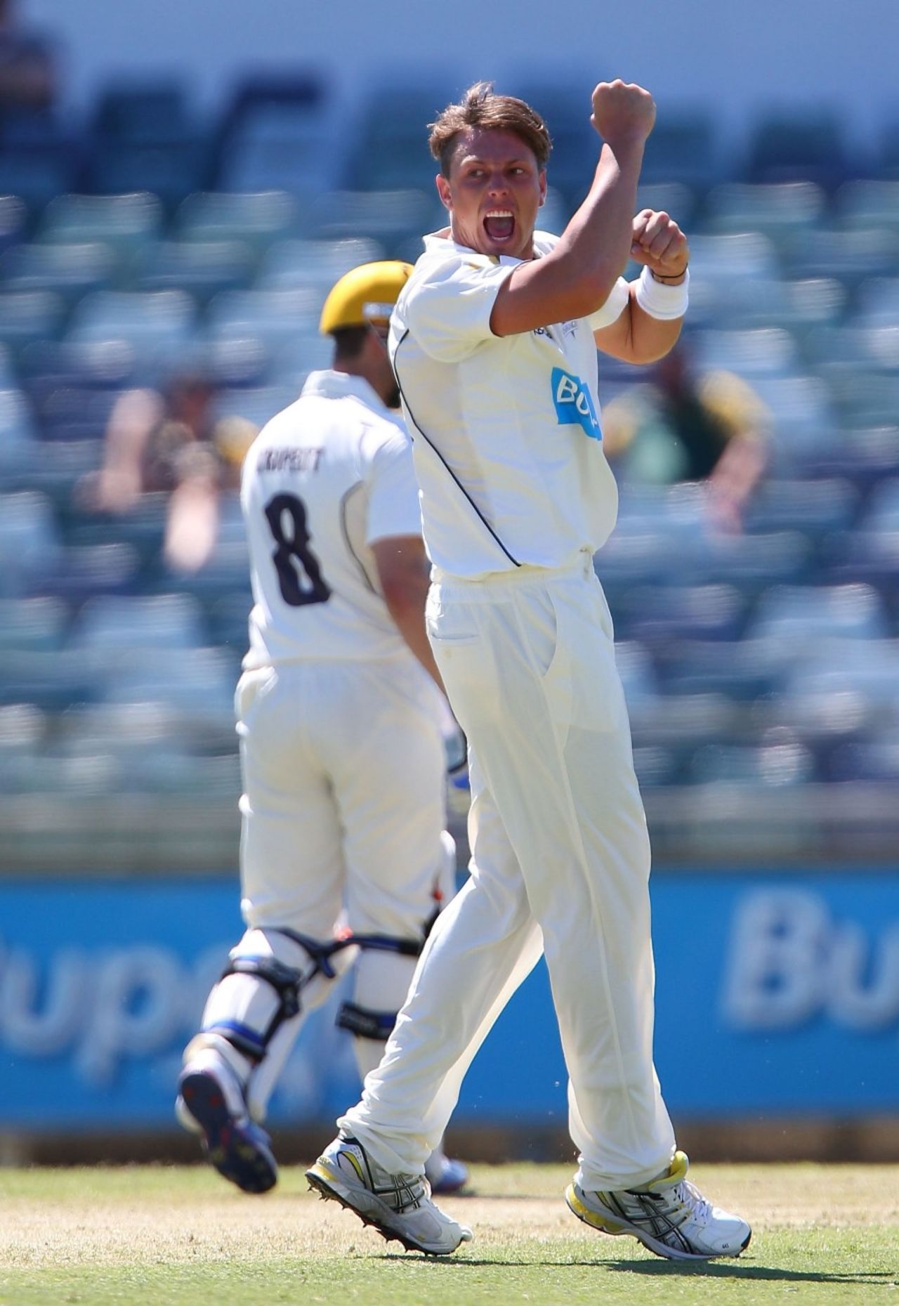 James Pattinson celebrates a wicket, Western Australia v Victoria, Sheffield Shield, Perth, 1st day, September 30, 2012