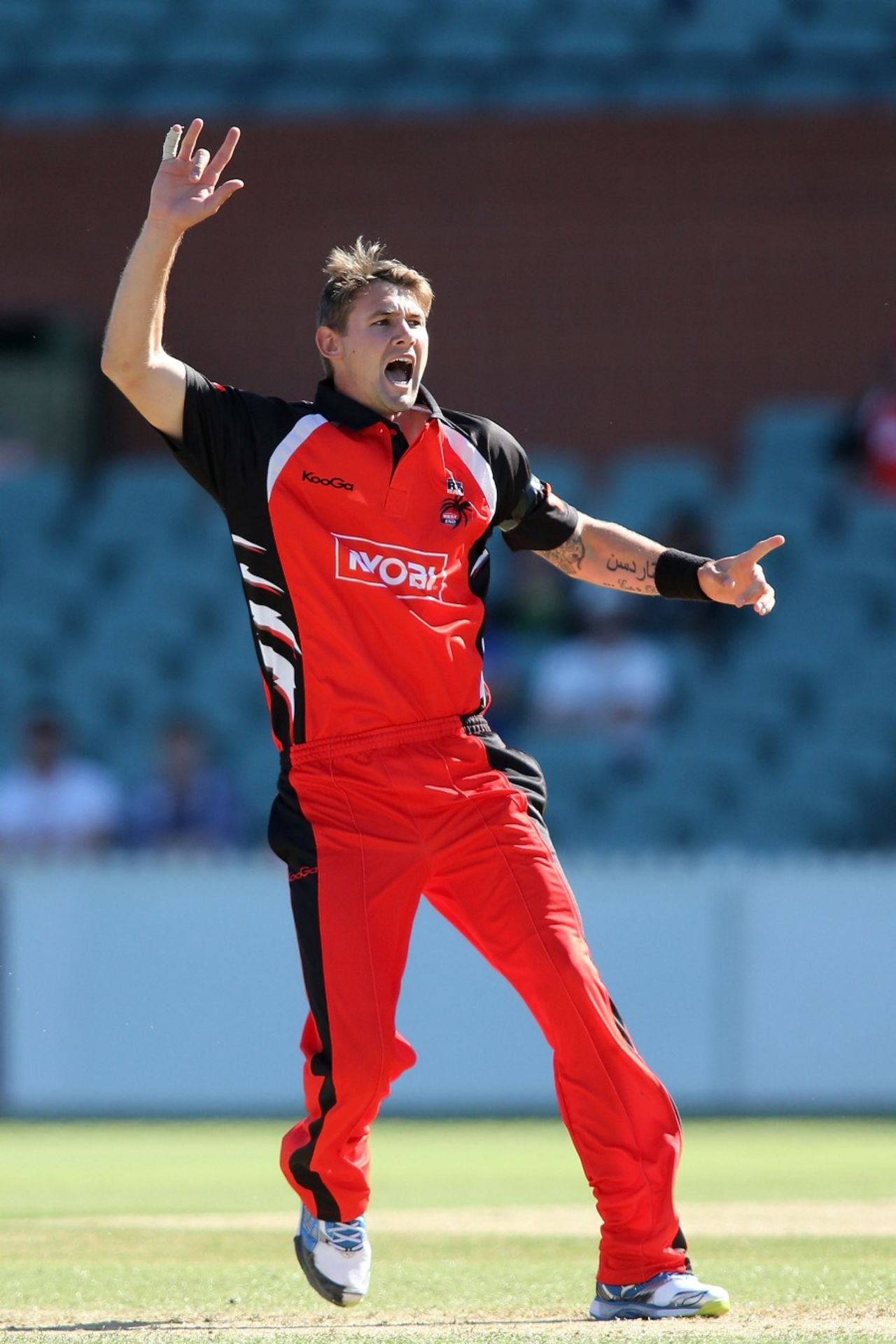 Kane Richardson appeals for a wicket, South Australia v Queensland, Ryobi Cup, Adelaide, October 21, 2012