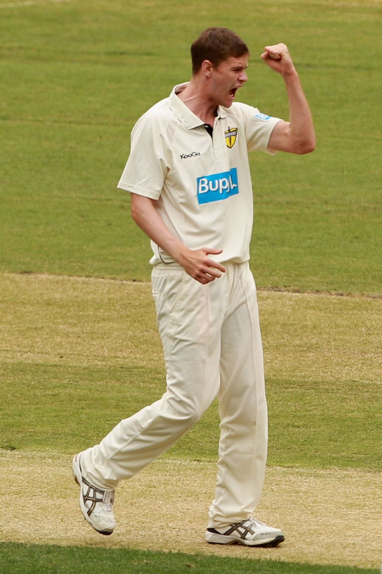 Jason Behrendorff celebrates a wicket, Victoria v Western Australia, Sheffield Shield, Melbourne, 2nd day, November 2, 2012