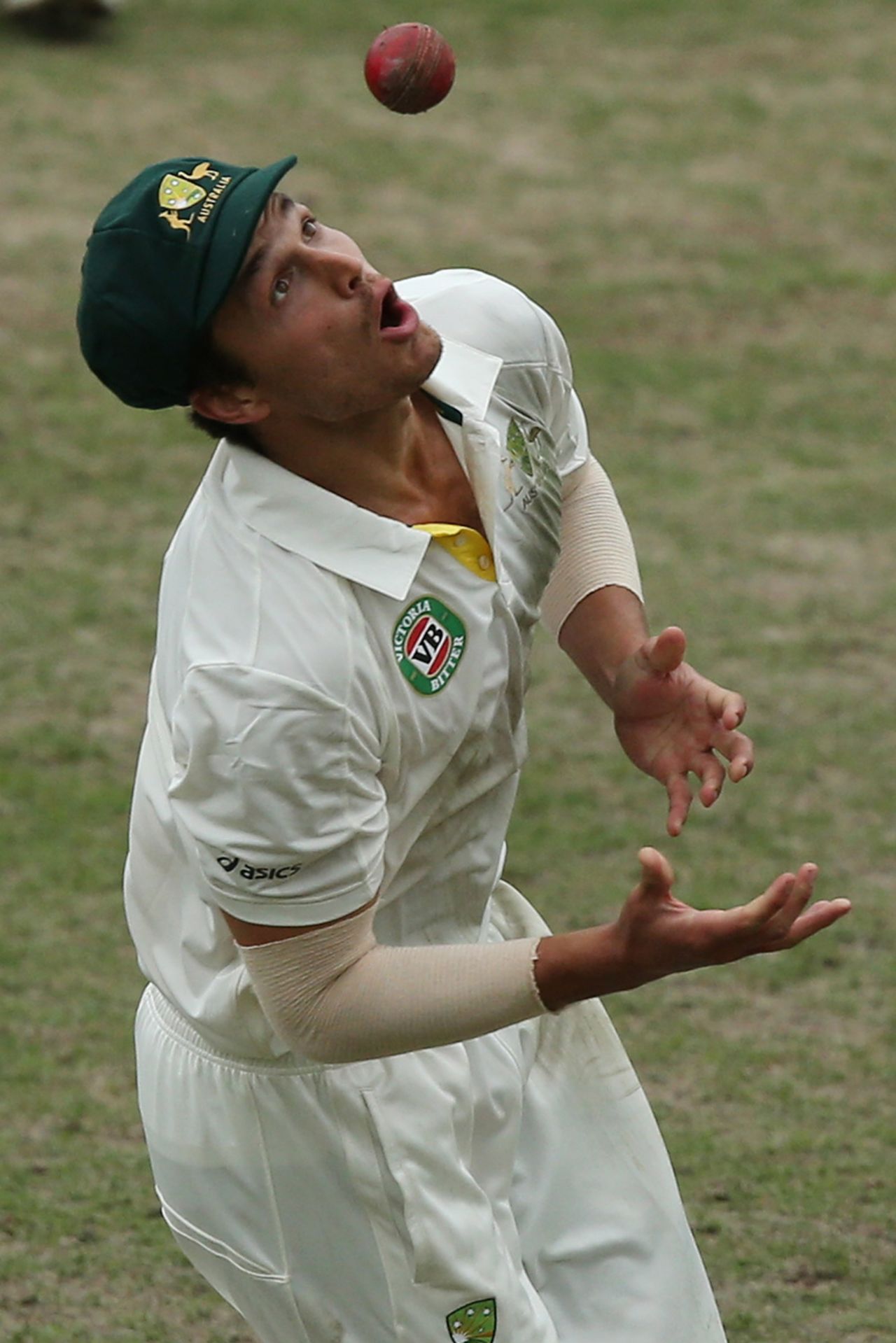 Nathan Coulter-Nile takes a catch to dismiss Alviro Petersen, Australia A v South Africans, 2nd day, SCG, November 3, 2012