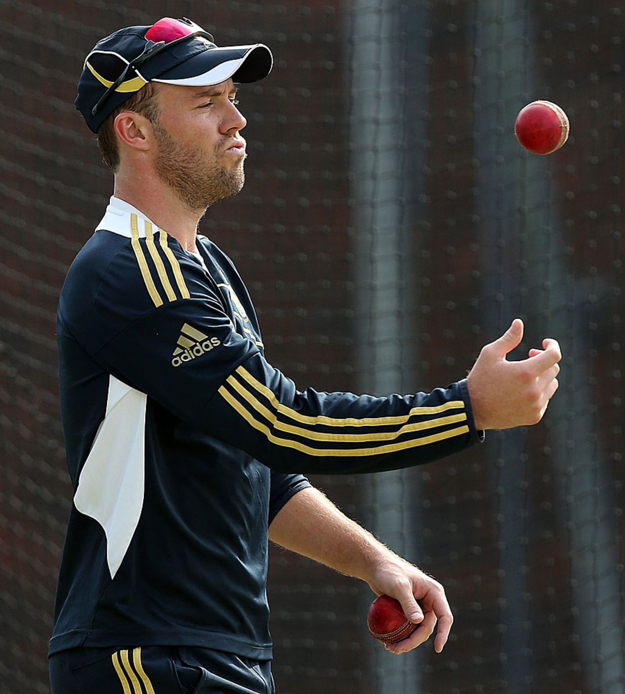 AB de Villiers tosses the ball during practice, Brisbane, November 7, 2012