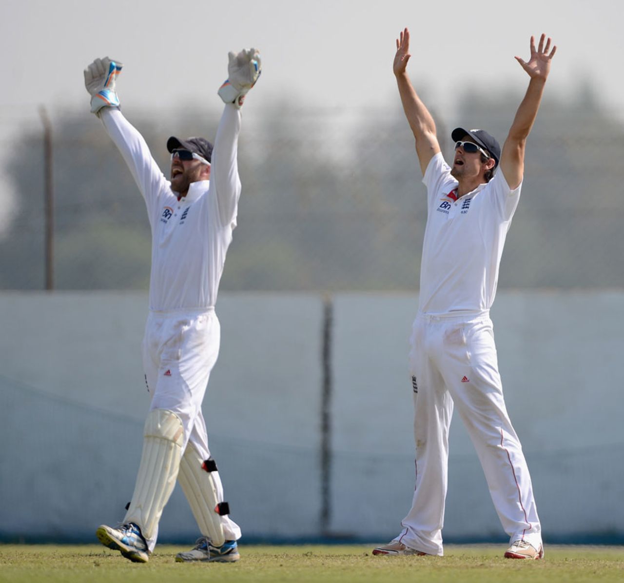 Alastair Cook and Matt Prior go up in appeal, Haryana v England XI, Ahmedabad, 4th day, November 10, 2012