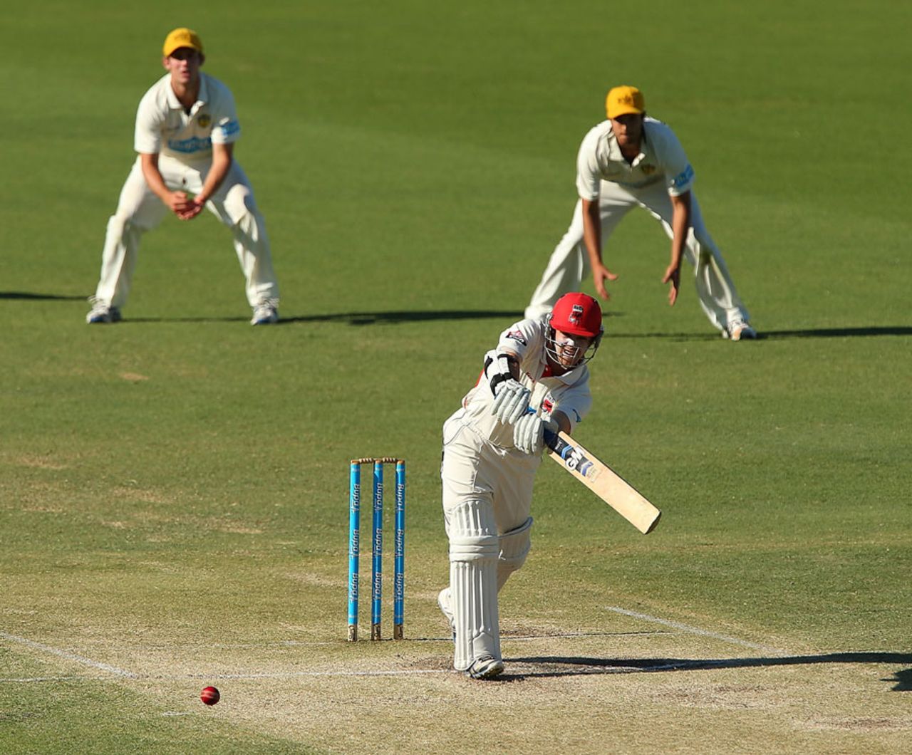 Travis Head led the resistance with 95 including three sixes, Western Australia v South Australia, Perth, Sheffield Shield, November, 15, 2012