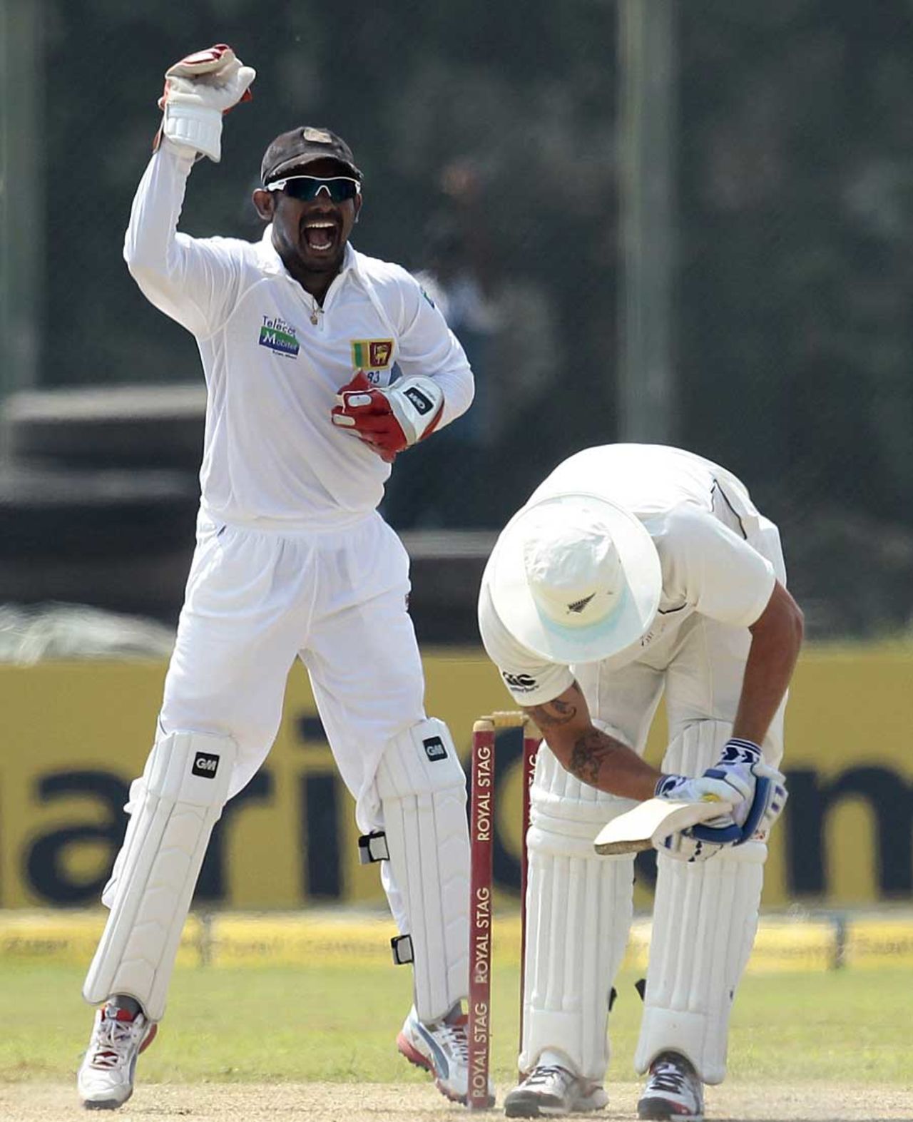 Doug Bracewell was trapped in front first ball, Sri Lanka v New Zealand, 1st Test, Galle, 3rd day, November 19, 2012