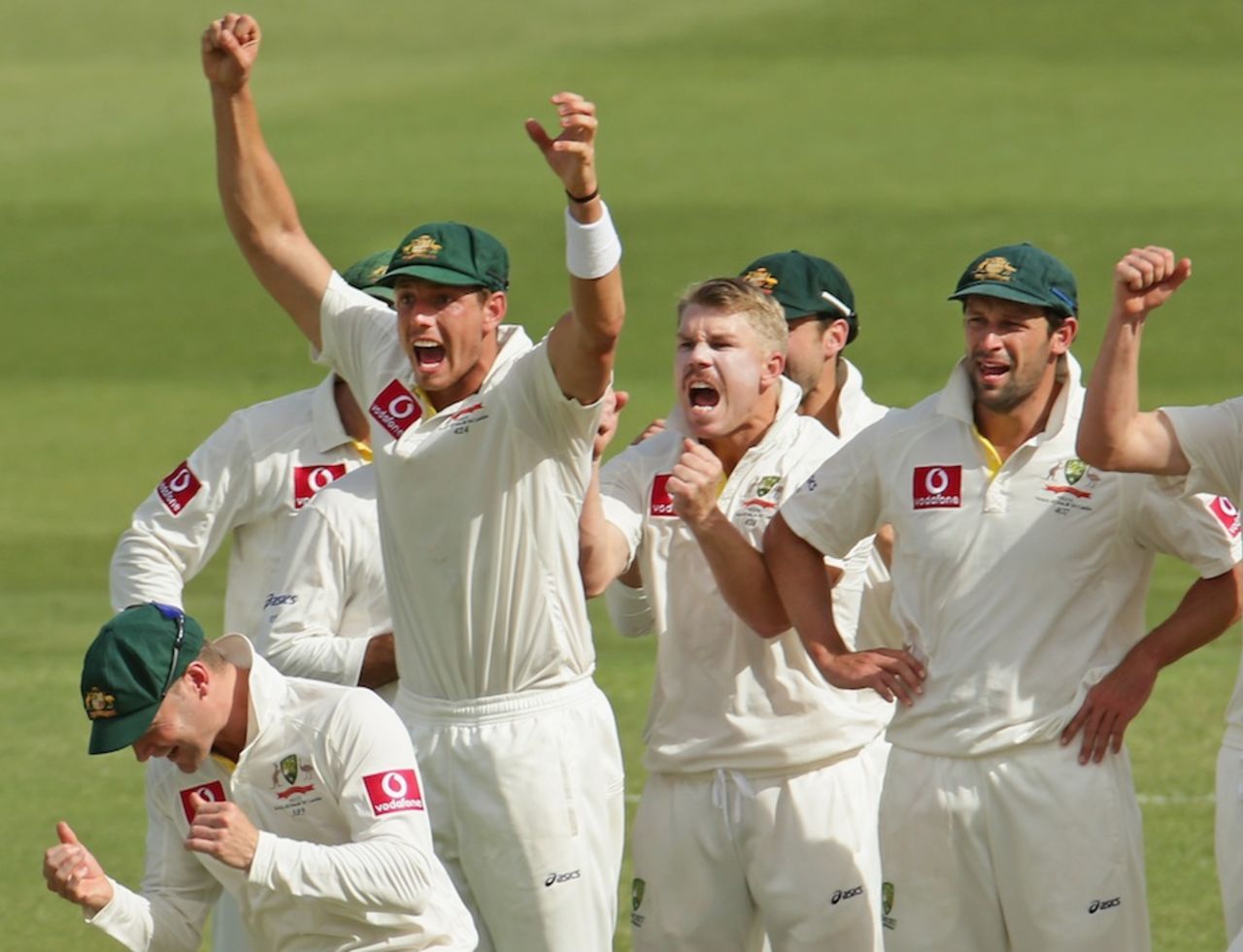 The Australians celebrate after Hashim Amla was given stumped off David Warner, Australia v South Africa, 2nd Test, Adelaide, 2nd day, November 23, 2012