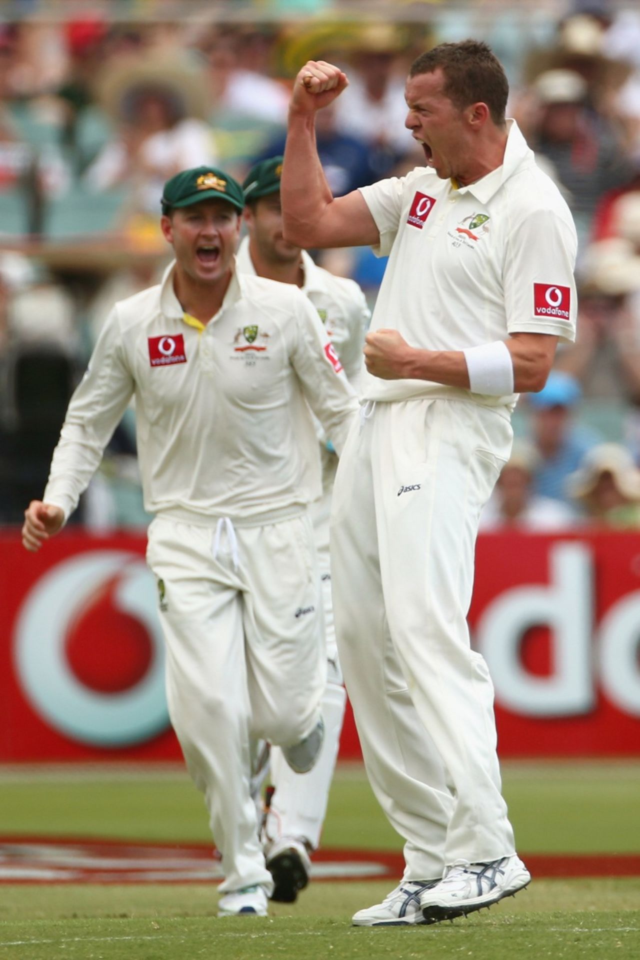 Peter Siddle celebrates a wicket, Australia v South Africa, 2nd Test, Adelaide, 3rd day, November 24, 2012