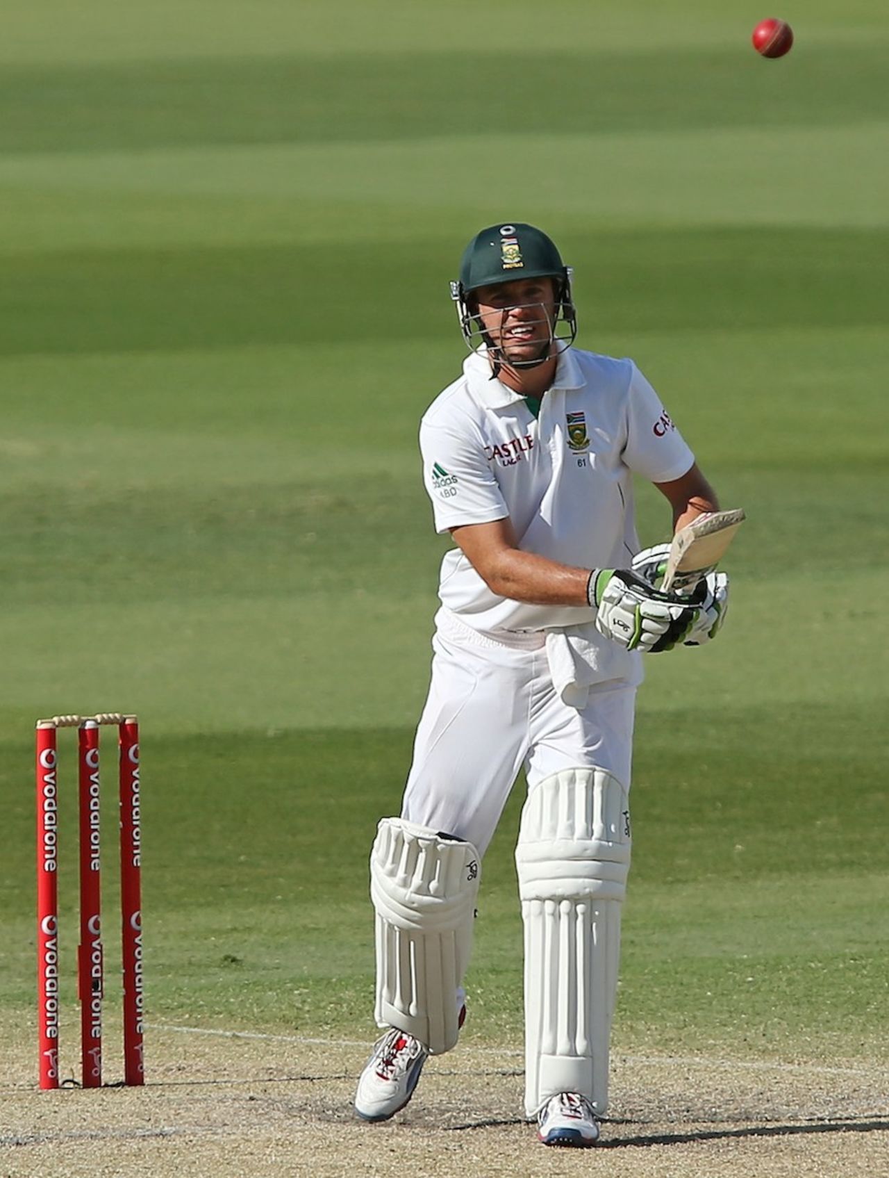 AB de Villiers batted 101 balls for 12 runs, Australia v South Africa, 2nd Test, Adelaide, 4th day, November 25, 2012